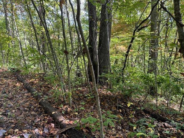 H16-H17 Shady Grove RD, Tuckasegee, NC 28783