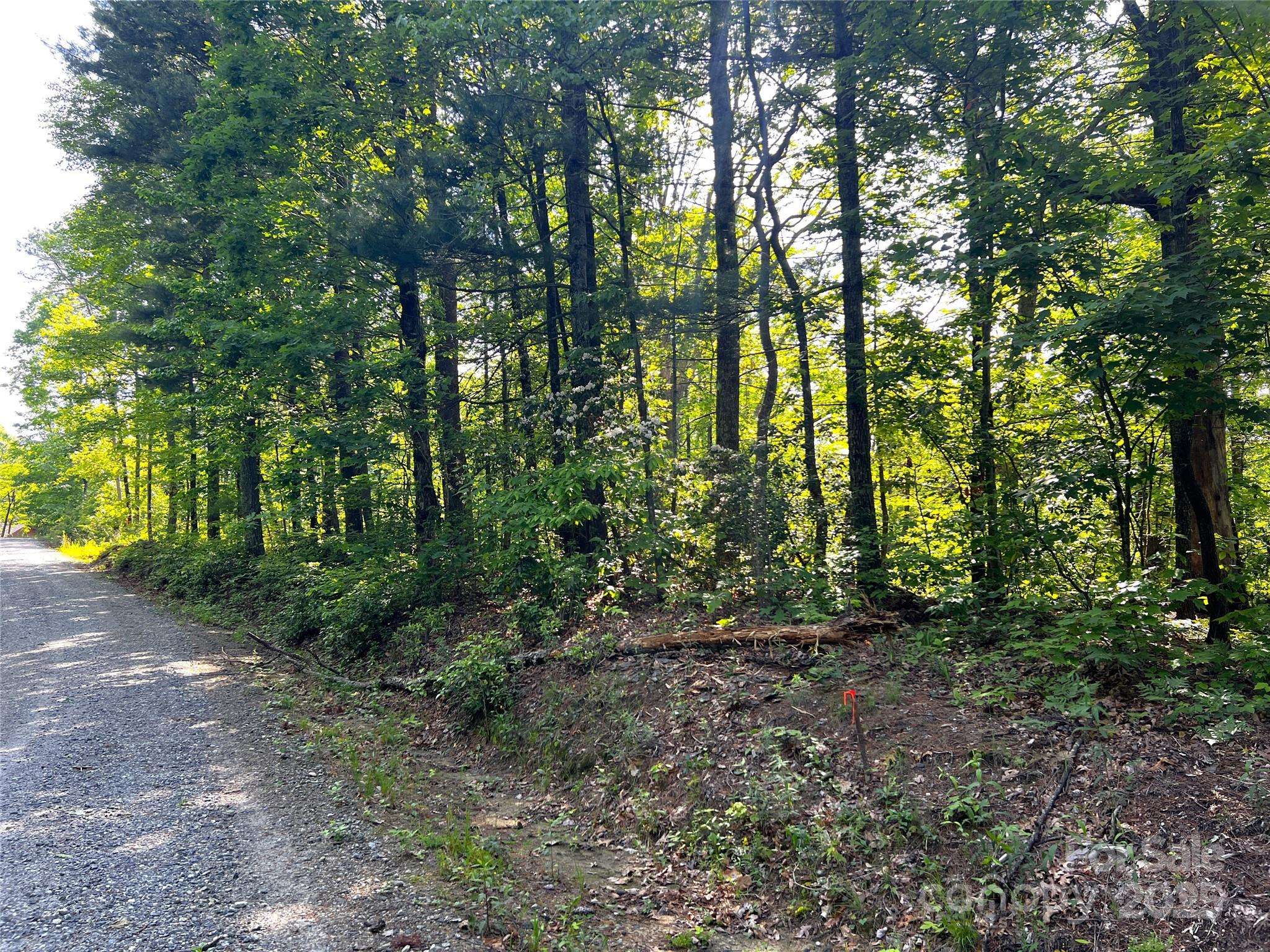 Lot 14R Arrowhead RDG #14 Revised, Brevard, NC 28712