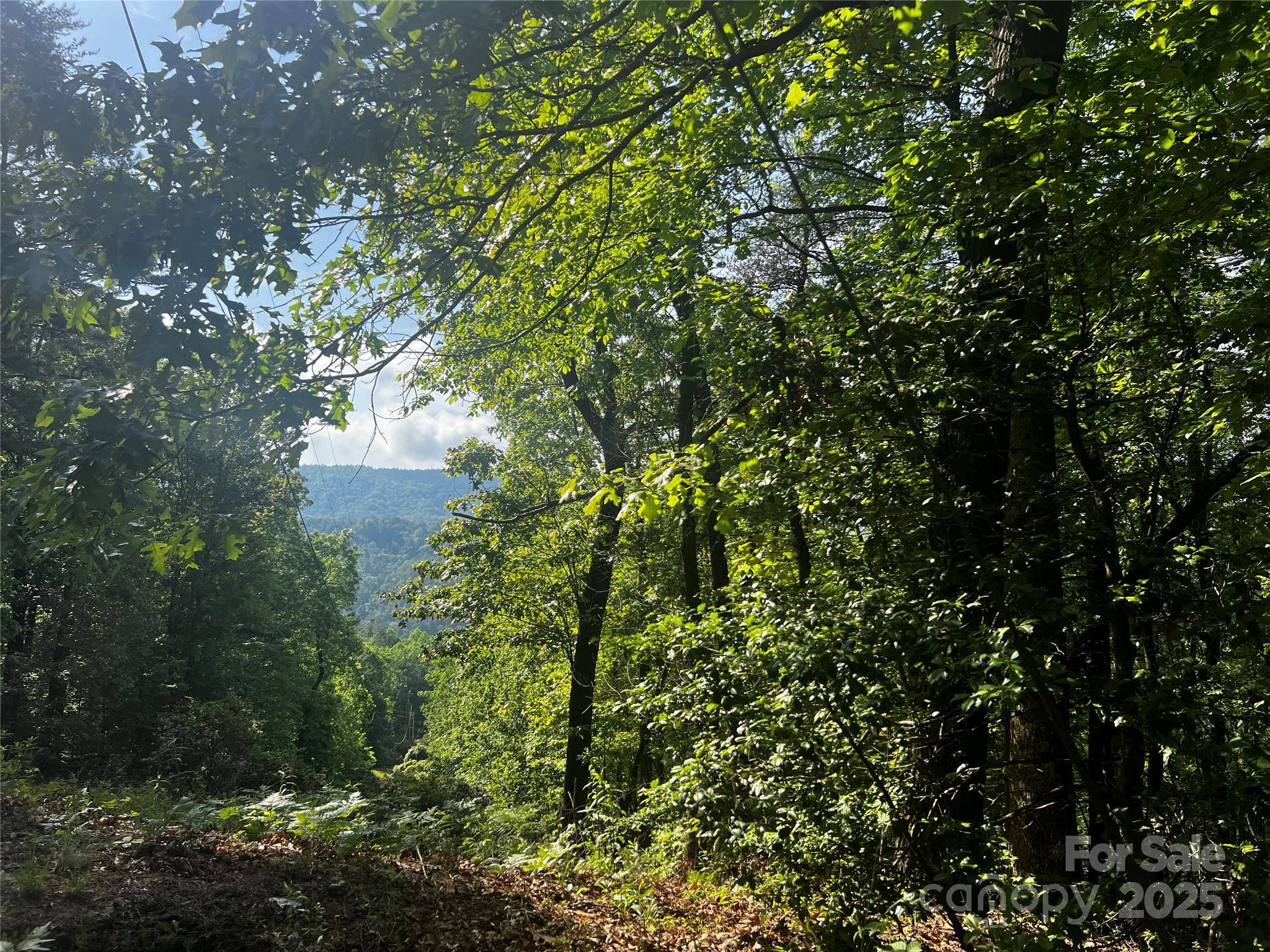Lot 14R Arrowhead RDG #14 Revised, Brevard, NC 28712
