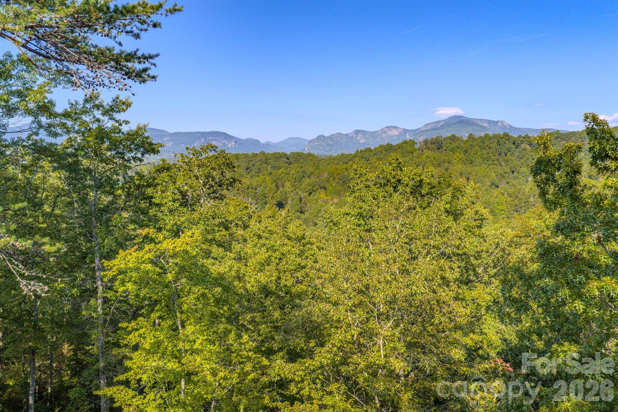 0 Willow Top LN #332, Lake Lure, NC 28746