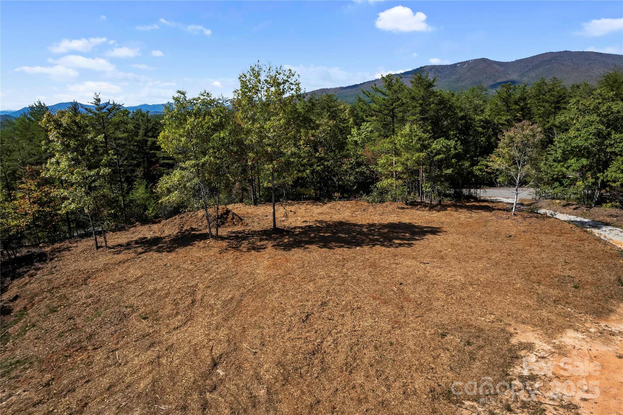 9028 Shortoff View TER, Nebo, NC 28761