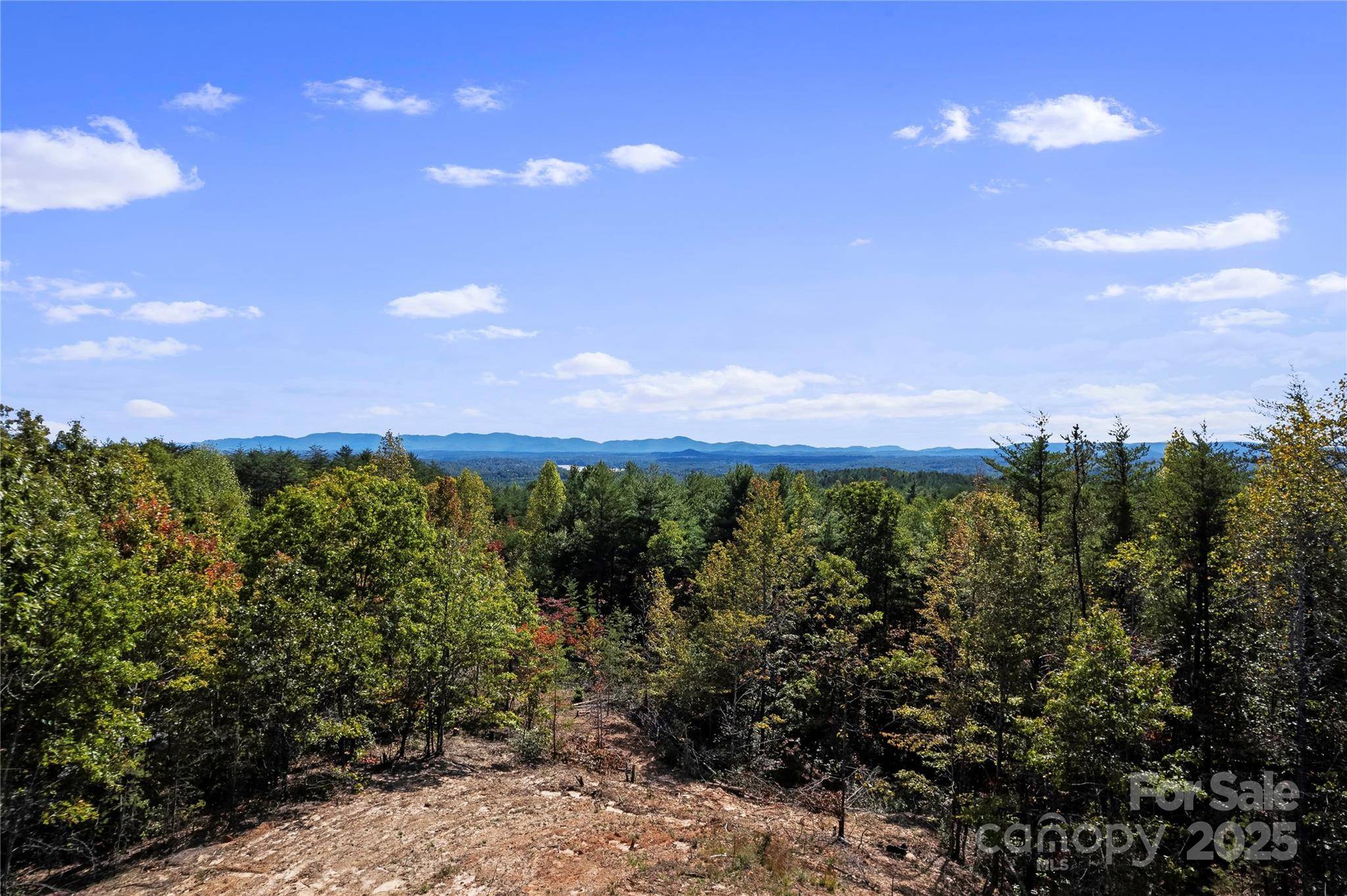 9028 Shortoff View TER, Nebo, NC 28761