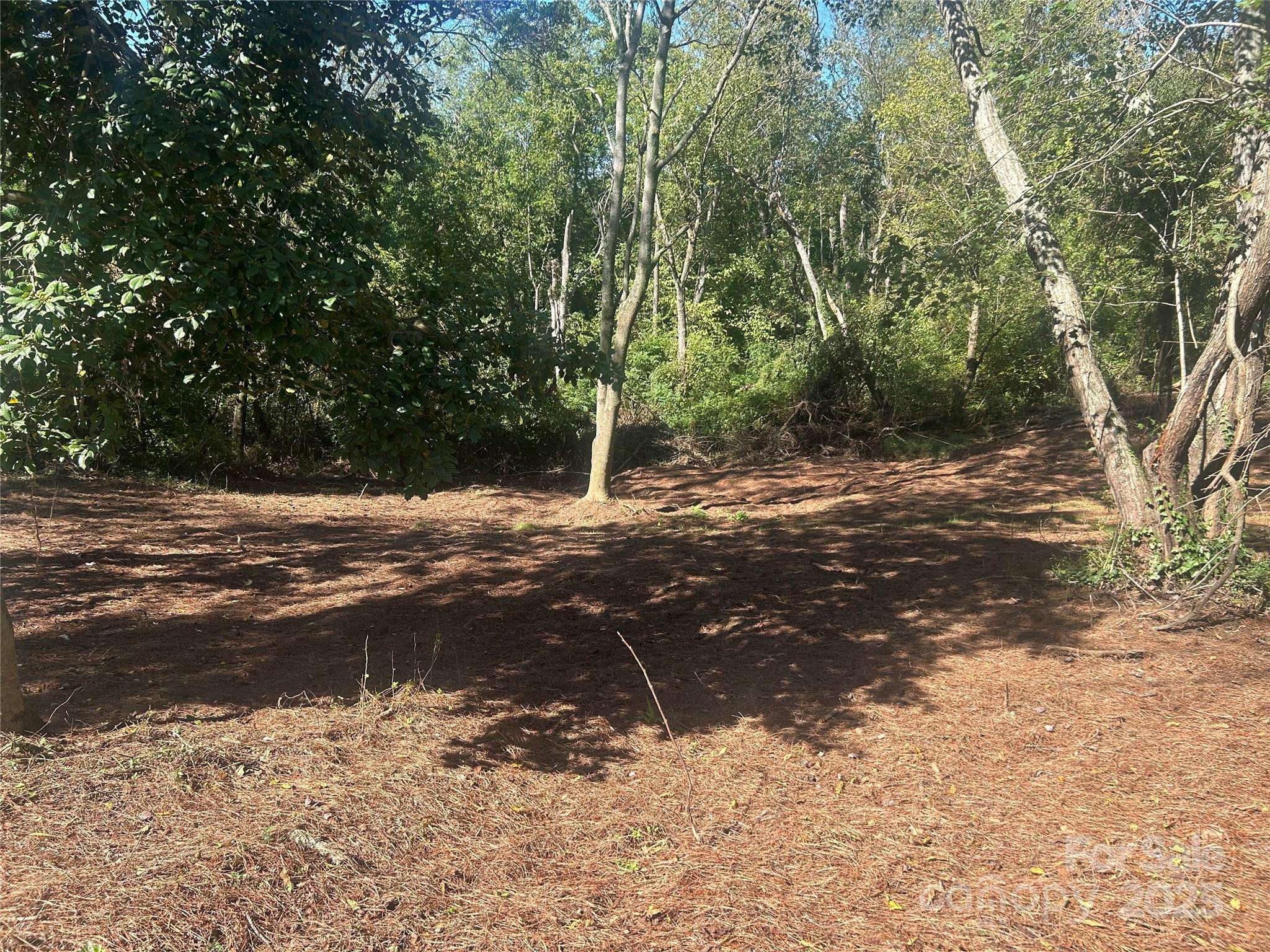 1 View ST #5, Portion 3, Woodfin, NC 28804
