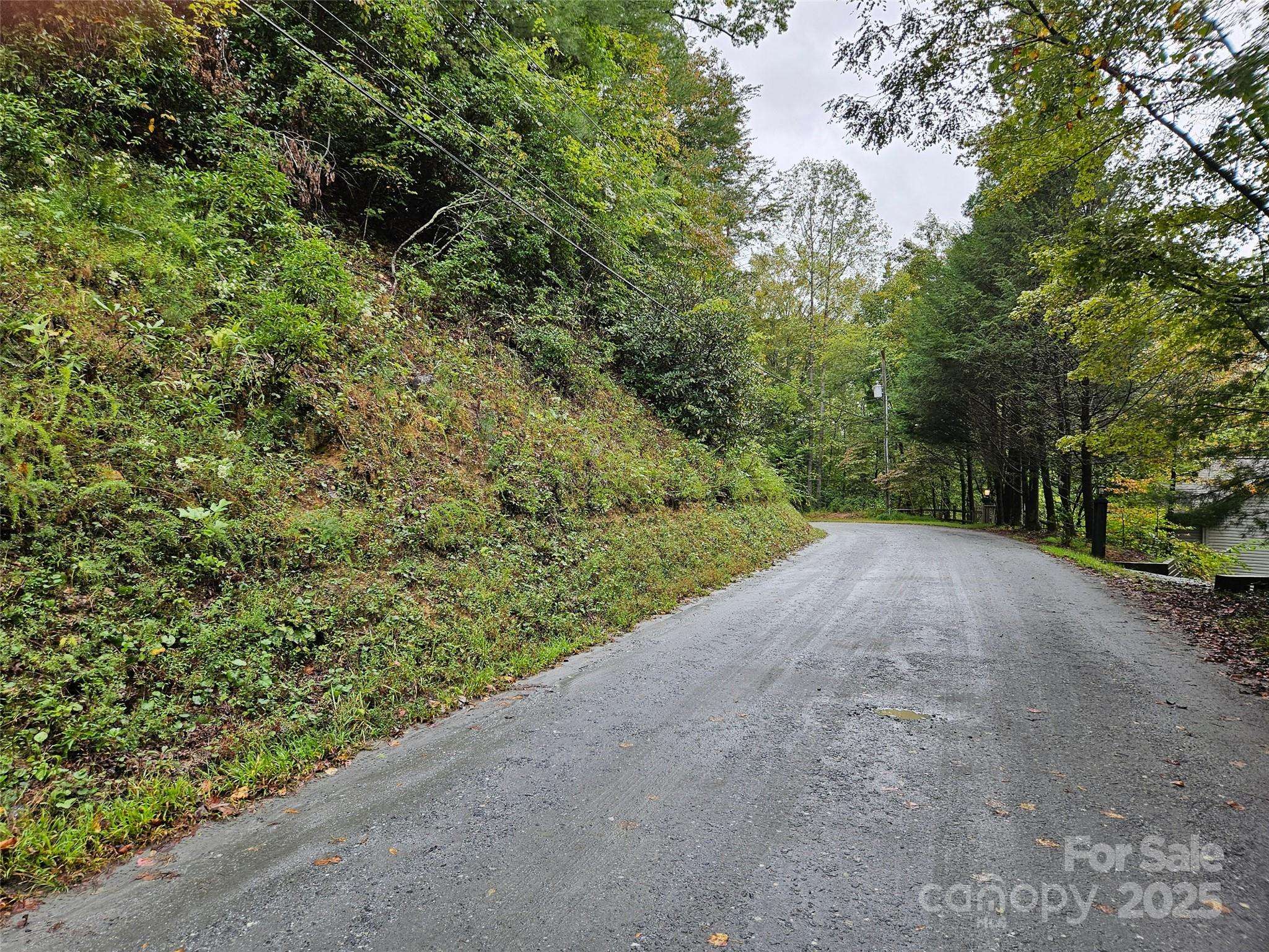 0 Rainbow CIR #8, Lake Lure, NC 28746