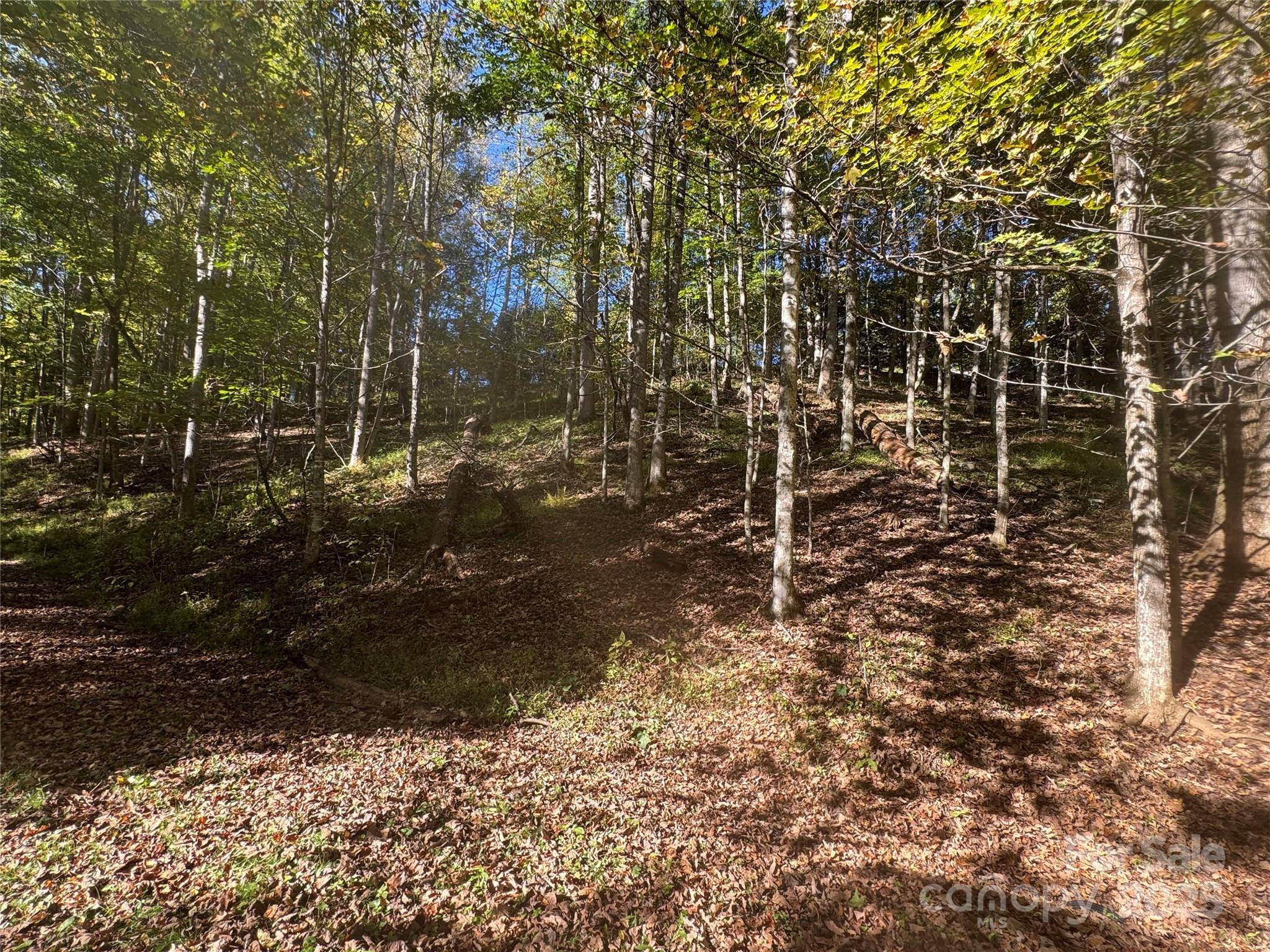 9 Susanna CV, Mars Hill, NC 28754