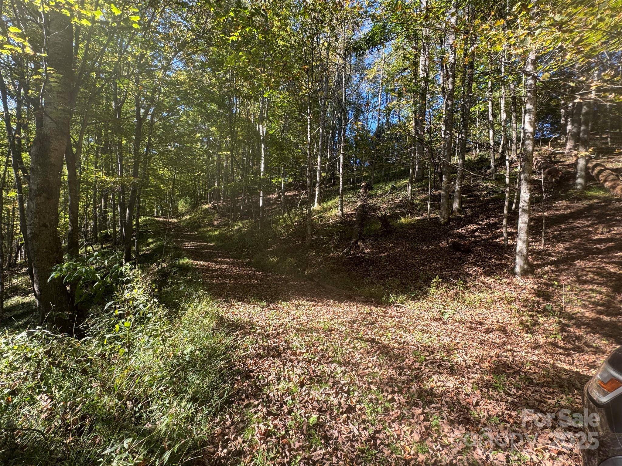 9 Susanna CV, Mars Hill, NC 28754