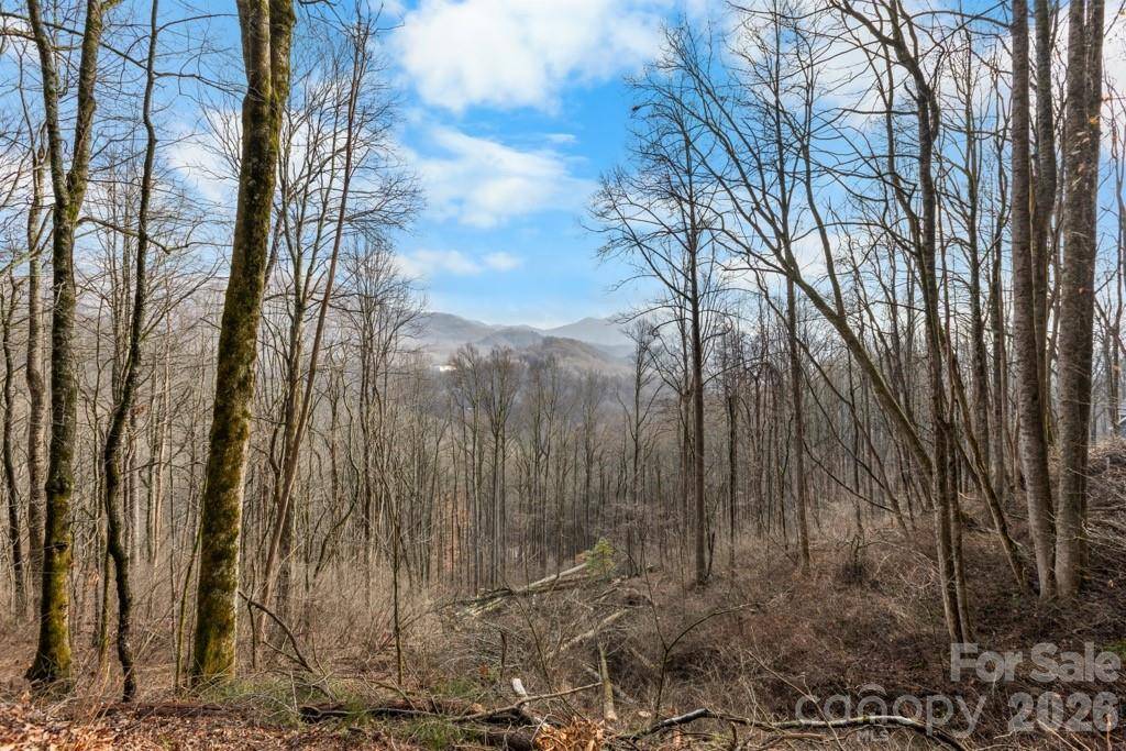 TBD Happy Ridge LN, Sylva, NC 28779