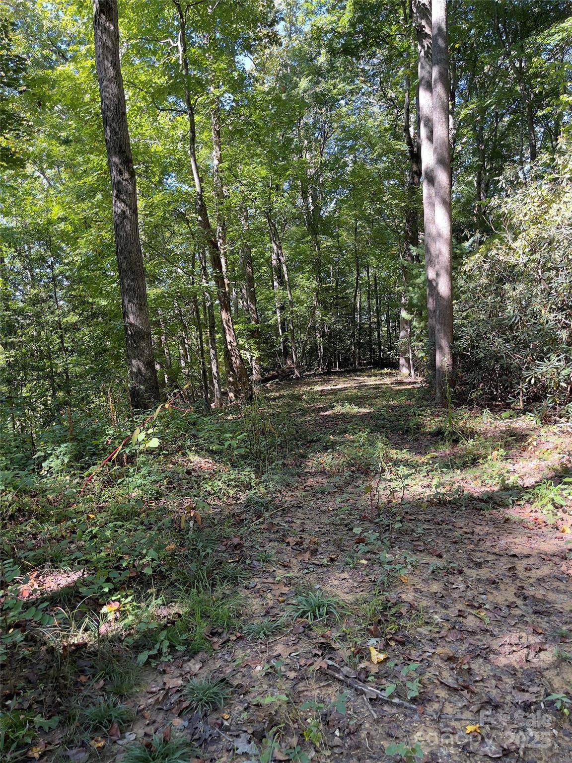 0 Empress LN, Henderson, NC 28792