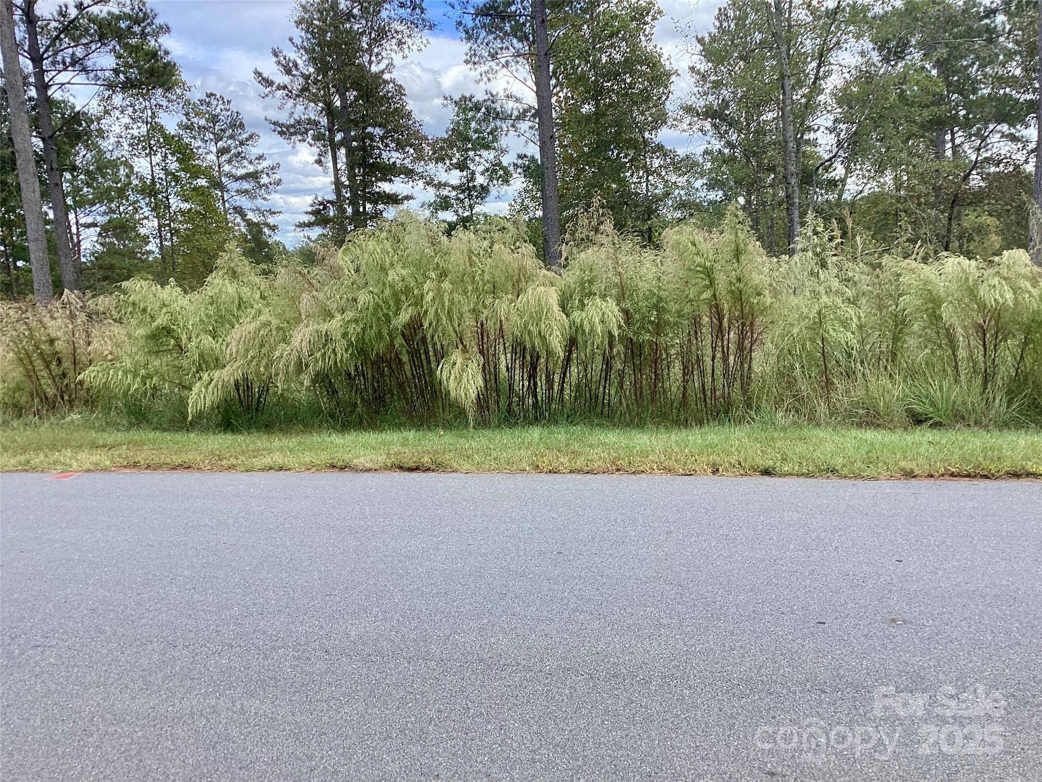 1818 Jumping RUN #22, Connelly Springs, NC 28612