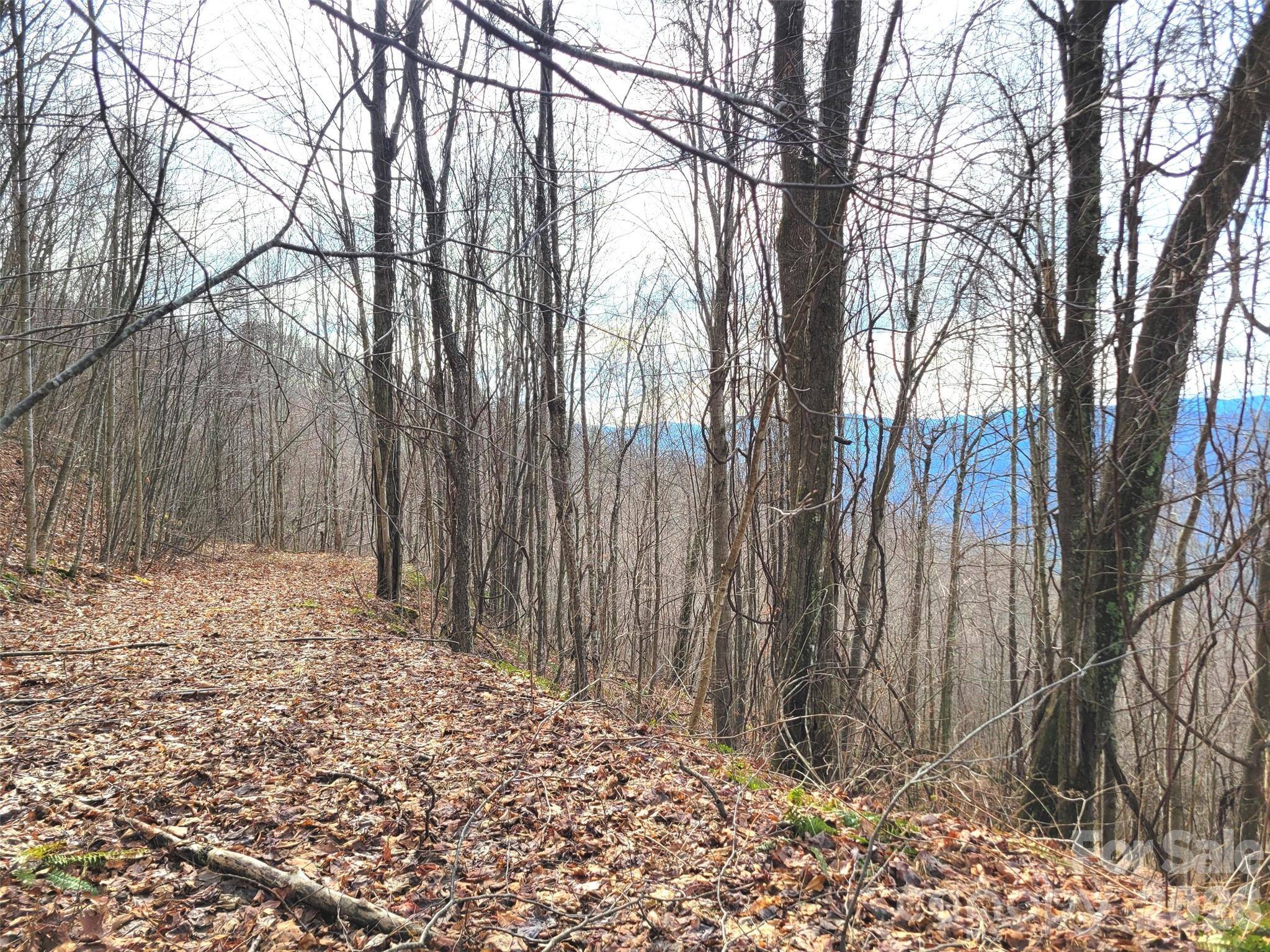 75 Rimrock RDG #I, Clyde, NC 28721