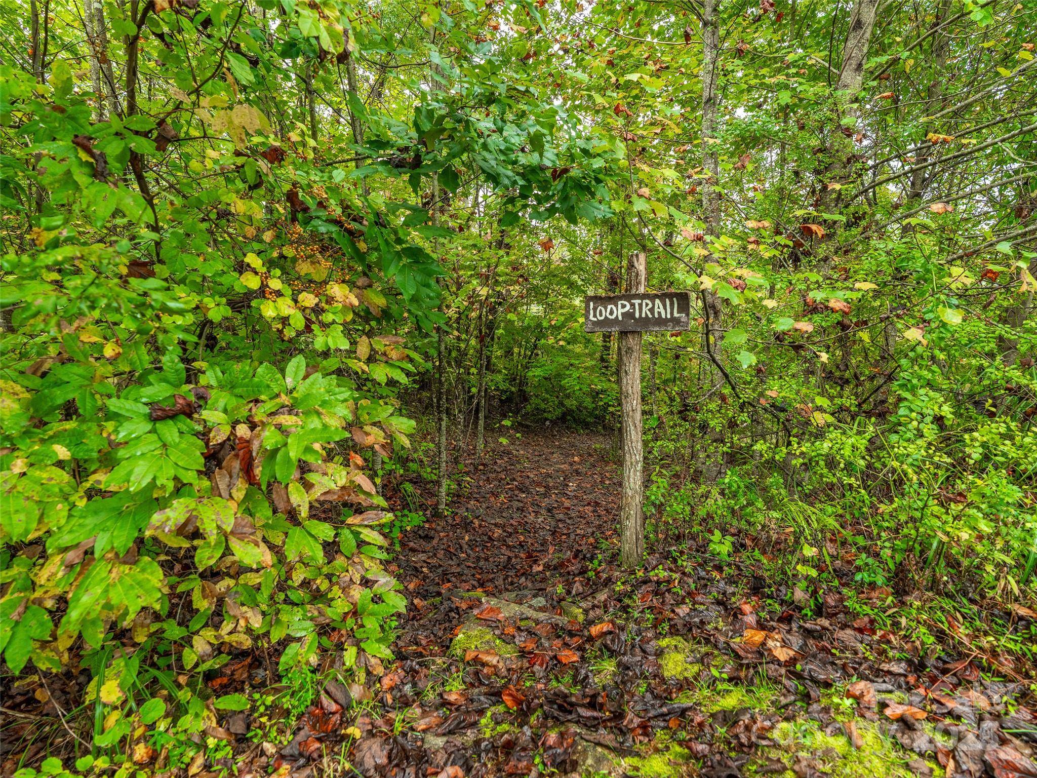 332 Millbrae LOOP, Hendersonville, NC 28791
