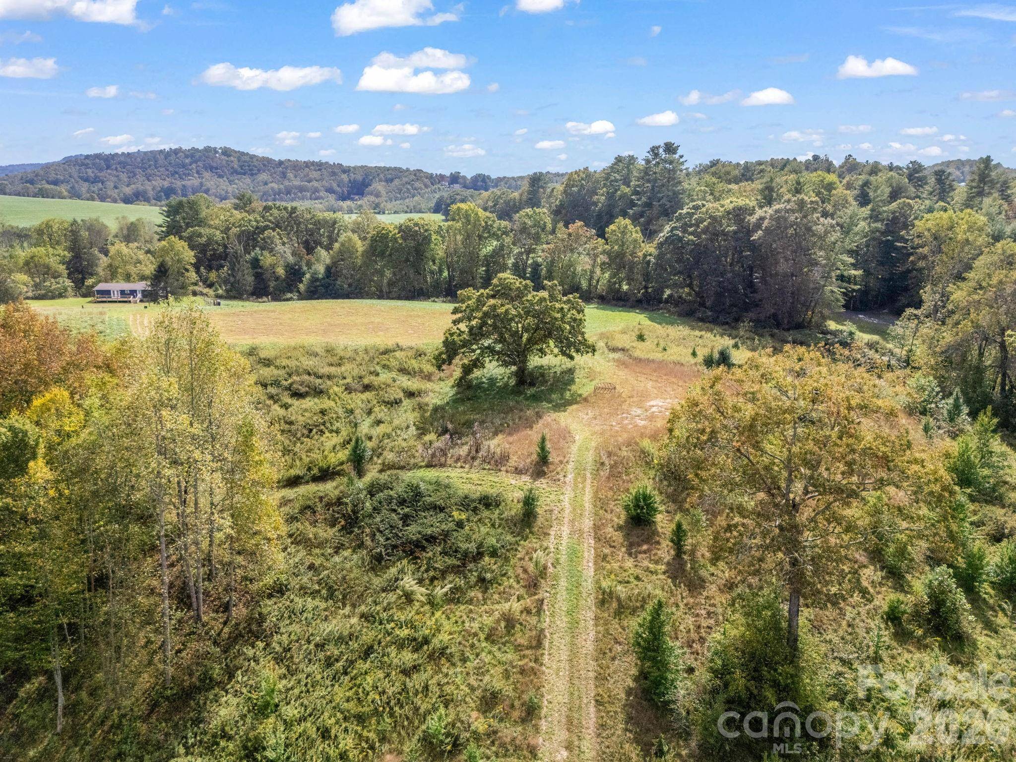 126 & 128 Cook LN, Mills River, NC 28759