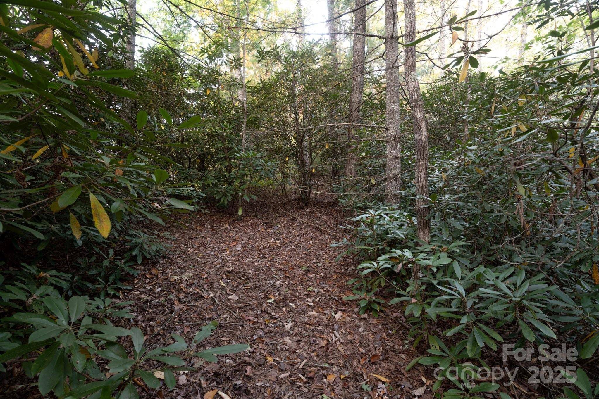 TBD Pine Mountain TRL #M8, Brevard, NC 28712