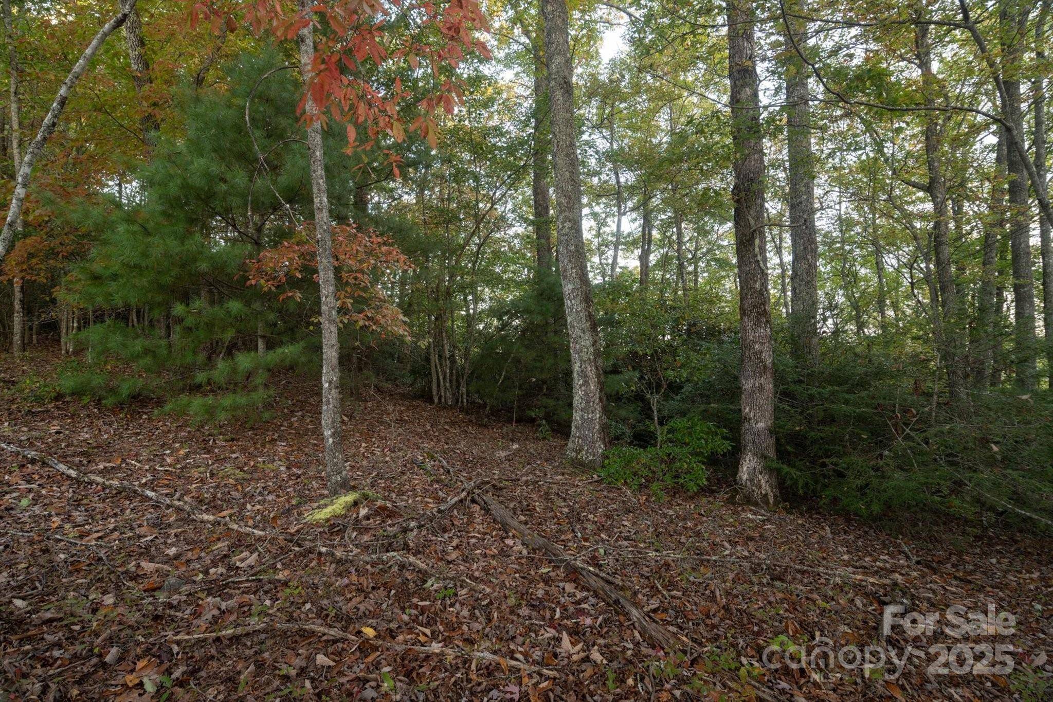 TBD Pine Mountain TRL #M8, Brevard, NC 28712