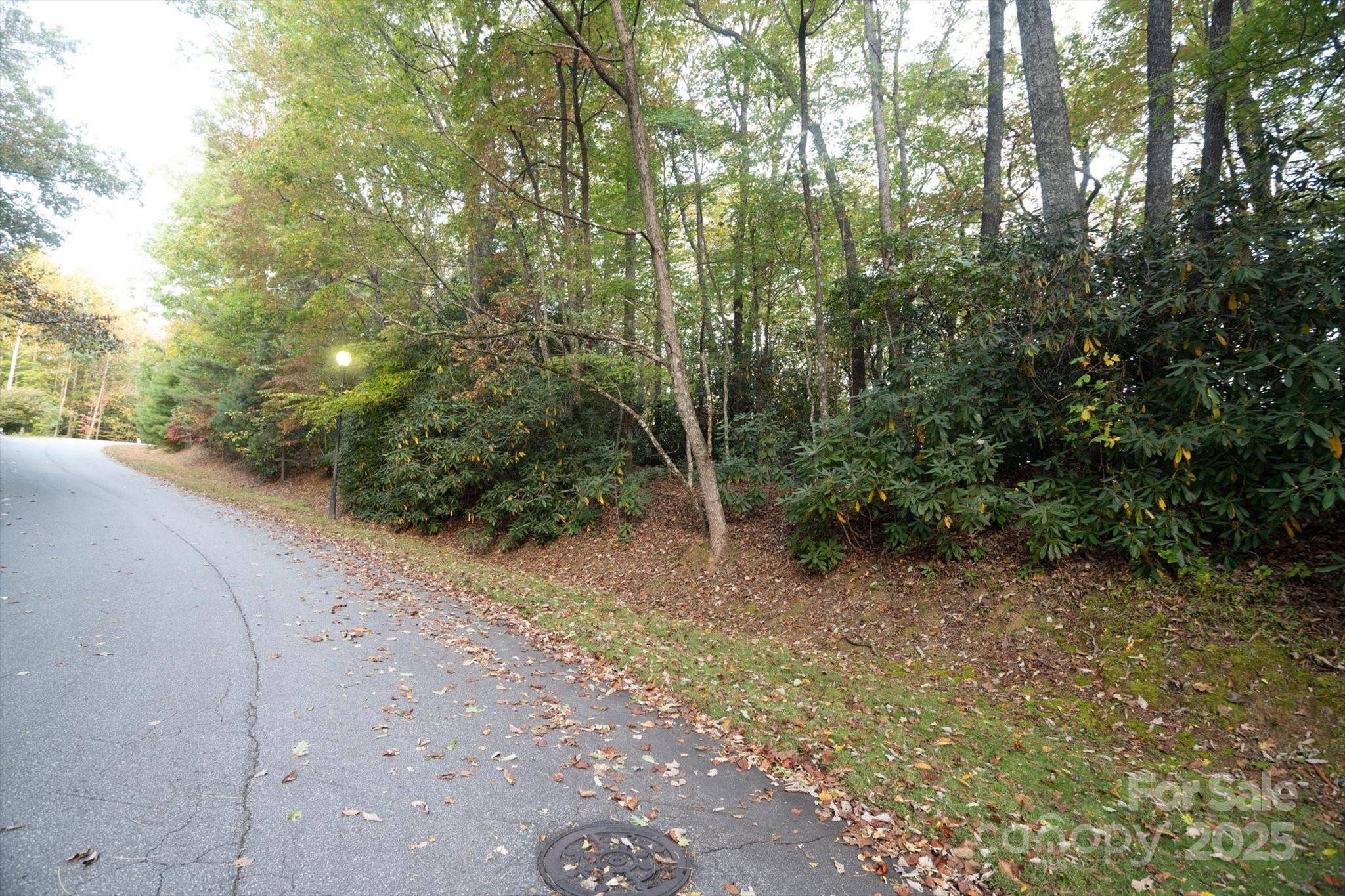 TBD Pine Mountain TRL #M8 & M9, Brevard, NC 28712