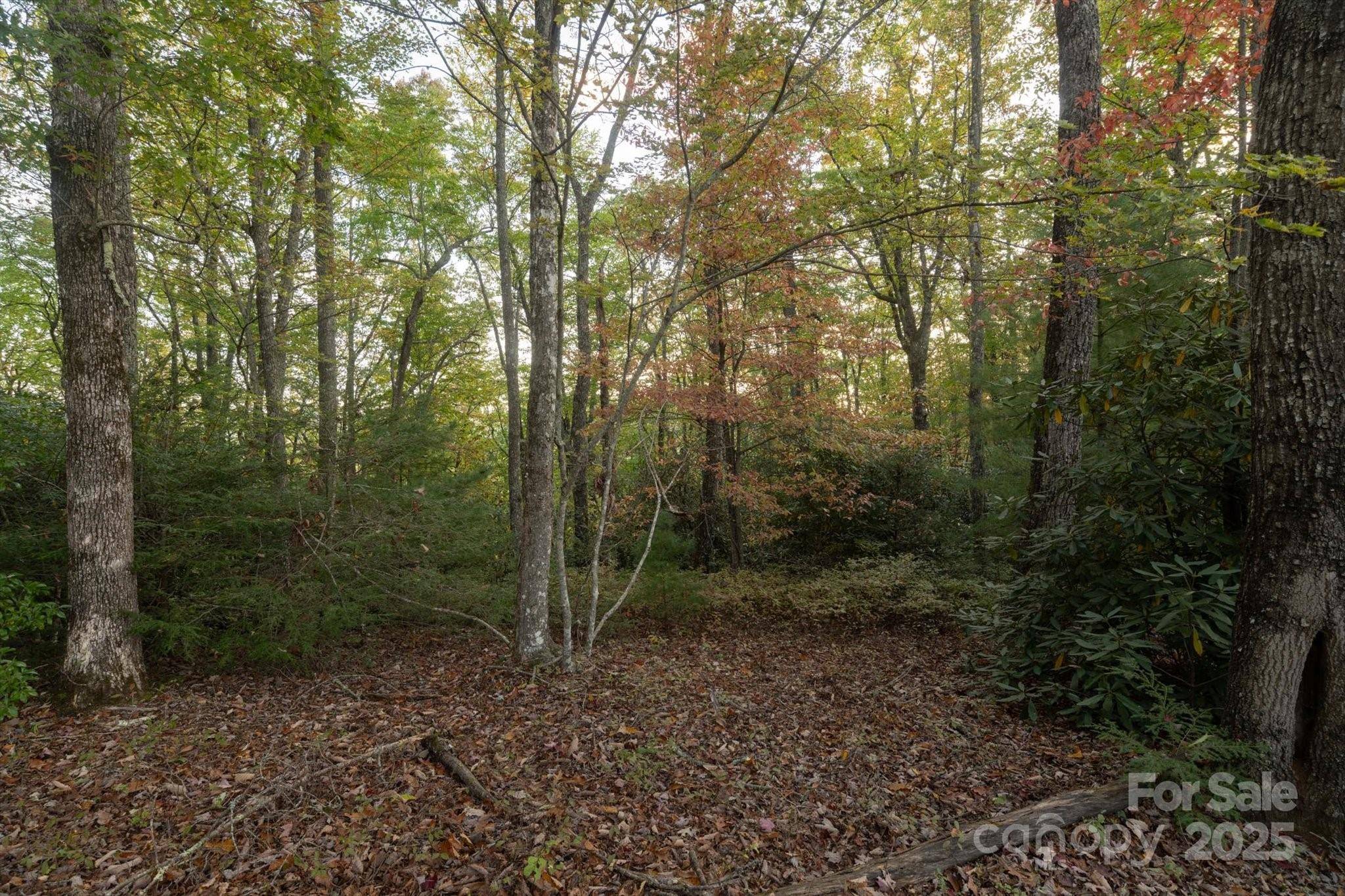TBD Pine Mountain TRL #M8 & M9, Brevard, NC 28712