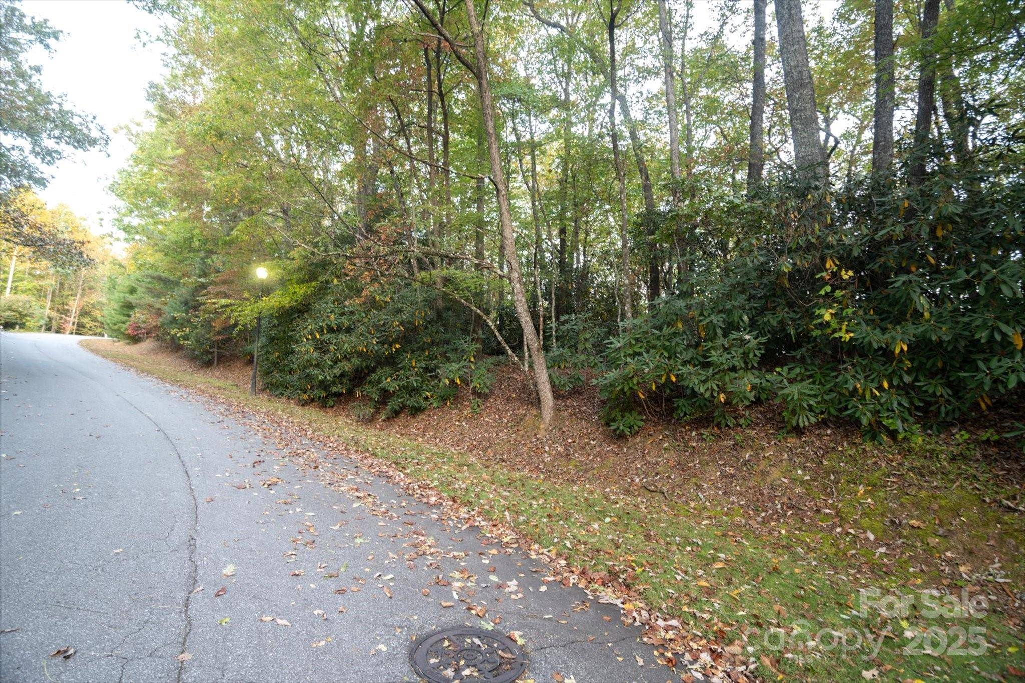 TBD Pine Mountain TRL #M8 & M9, Brevard, NC 28712