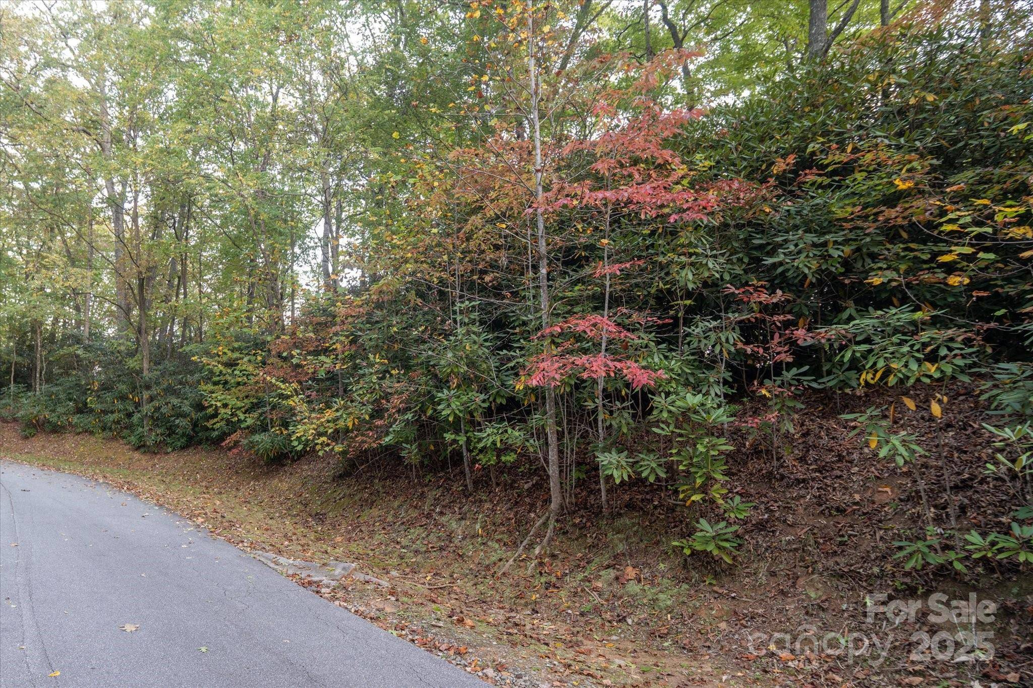 TBD Pine Mountain TRL #M8 & M9, Brevard, NC 28712