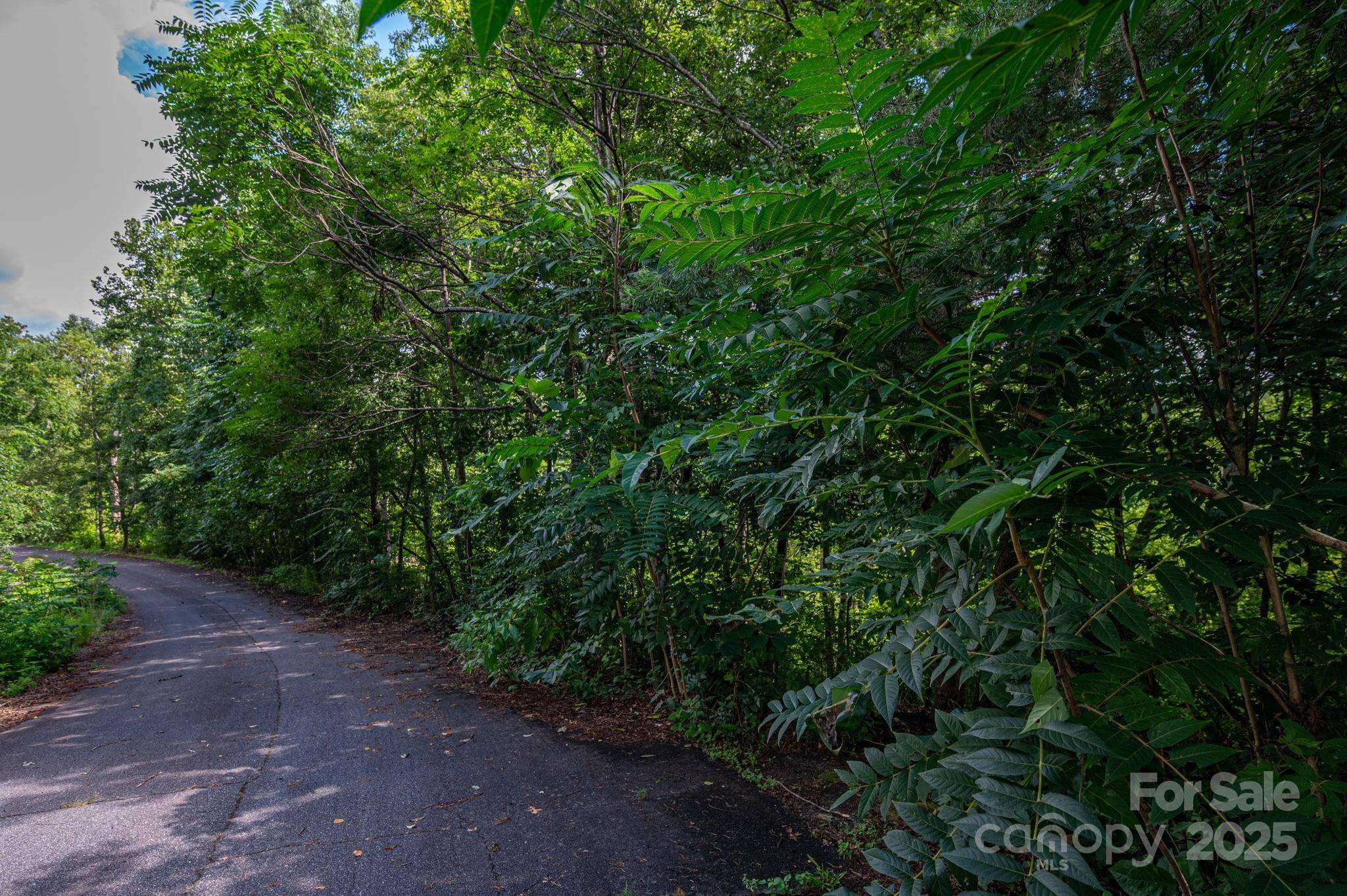 Lot 34 Line DR, Forest City, NC 28043