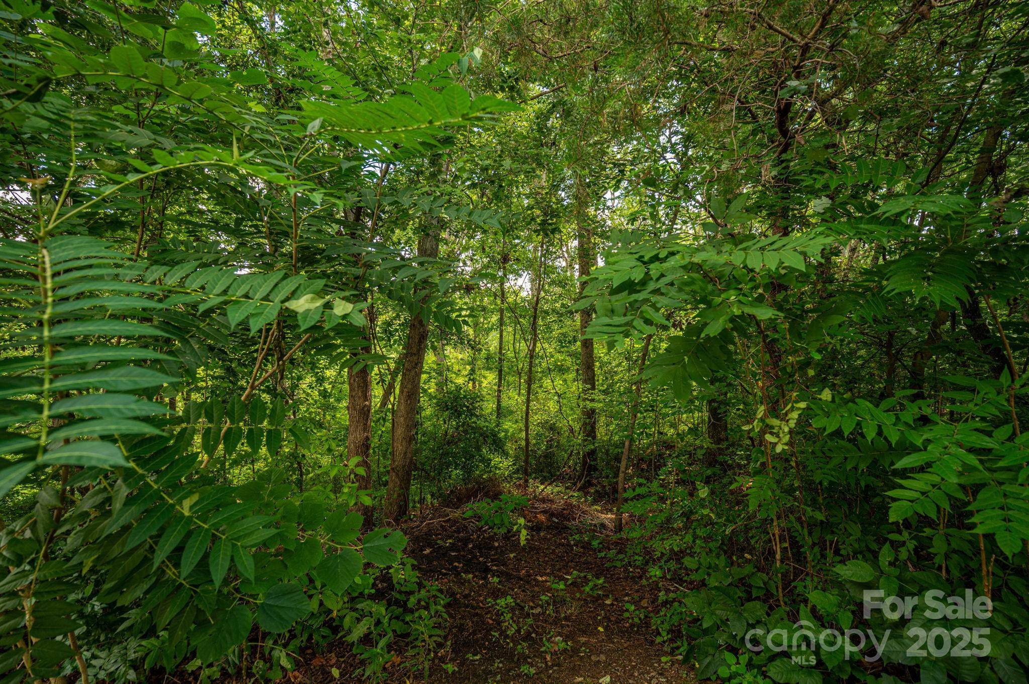 Lot 34 Line DR, Forest City, NC 28043