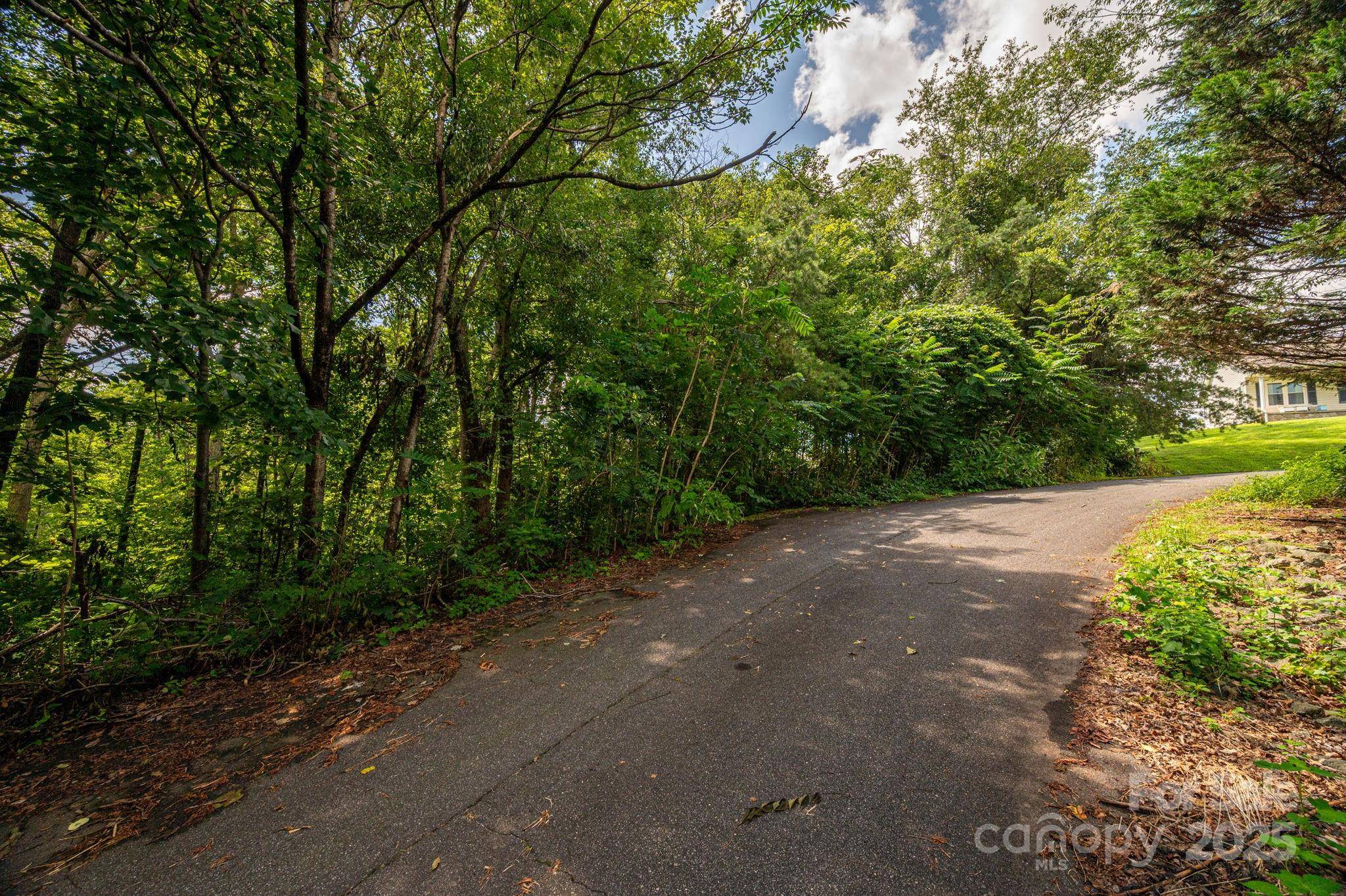 Lot 19 Line DR, Forest City, NC 28043