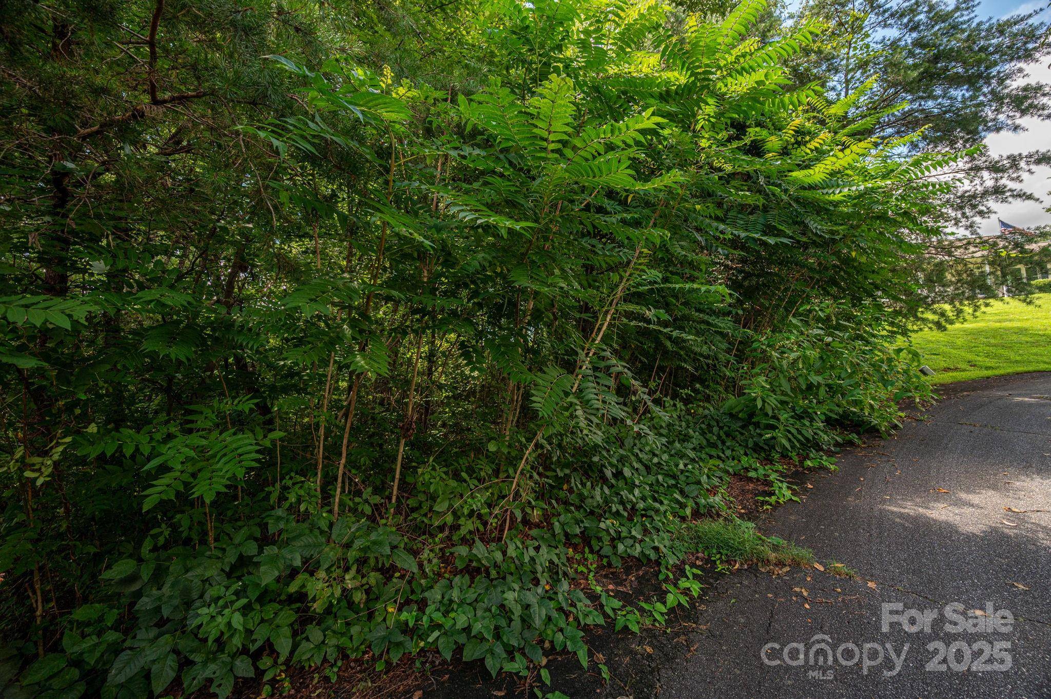 Lot 19 Line DR, Forest City, NC 28043