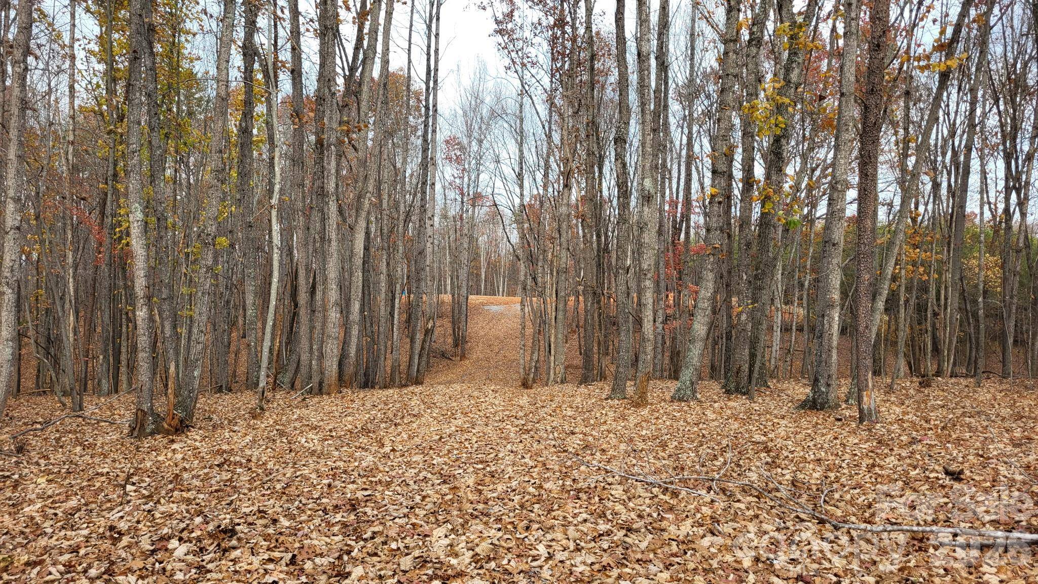 1056 Stephens Trail RD, Sandy Ridge, NC 27046