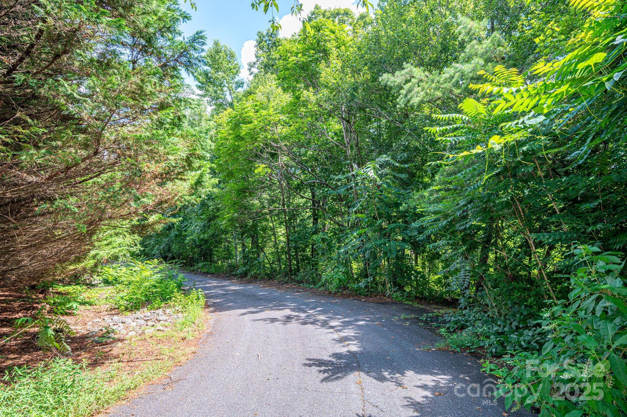 Lot 20 Line DR, Forest City, NC 28043