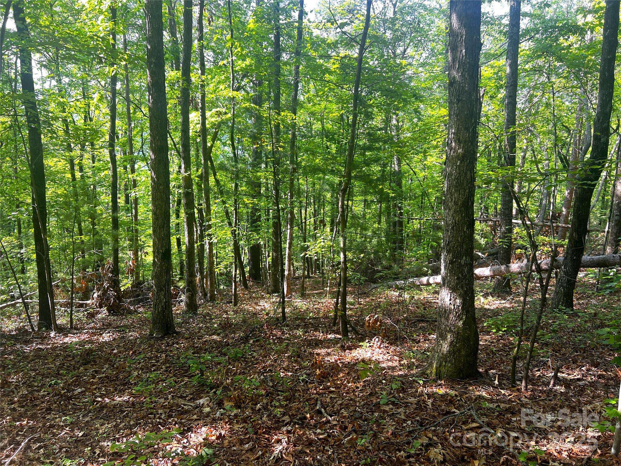Lot 16 Arrowhead RDG #16R, Brevard, NC 28712