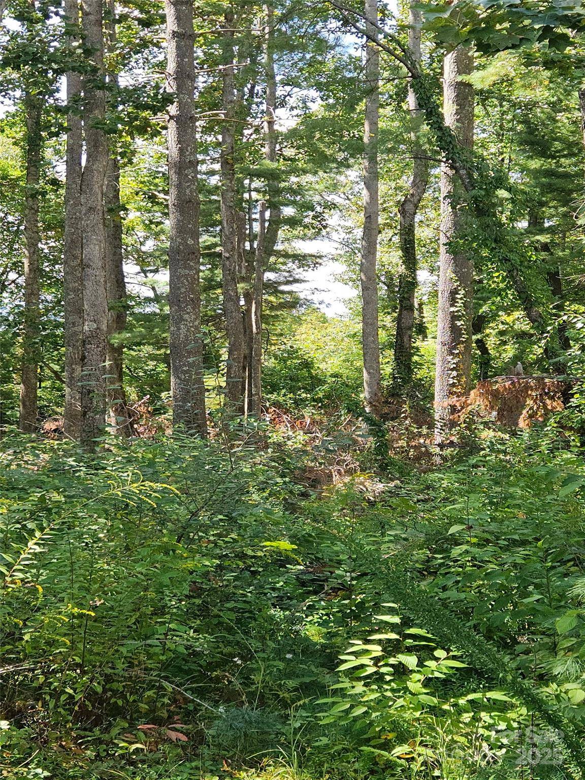 00 Bearwallow Mountain DR #191, Hendersonville, NC 28792