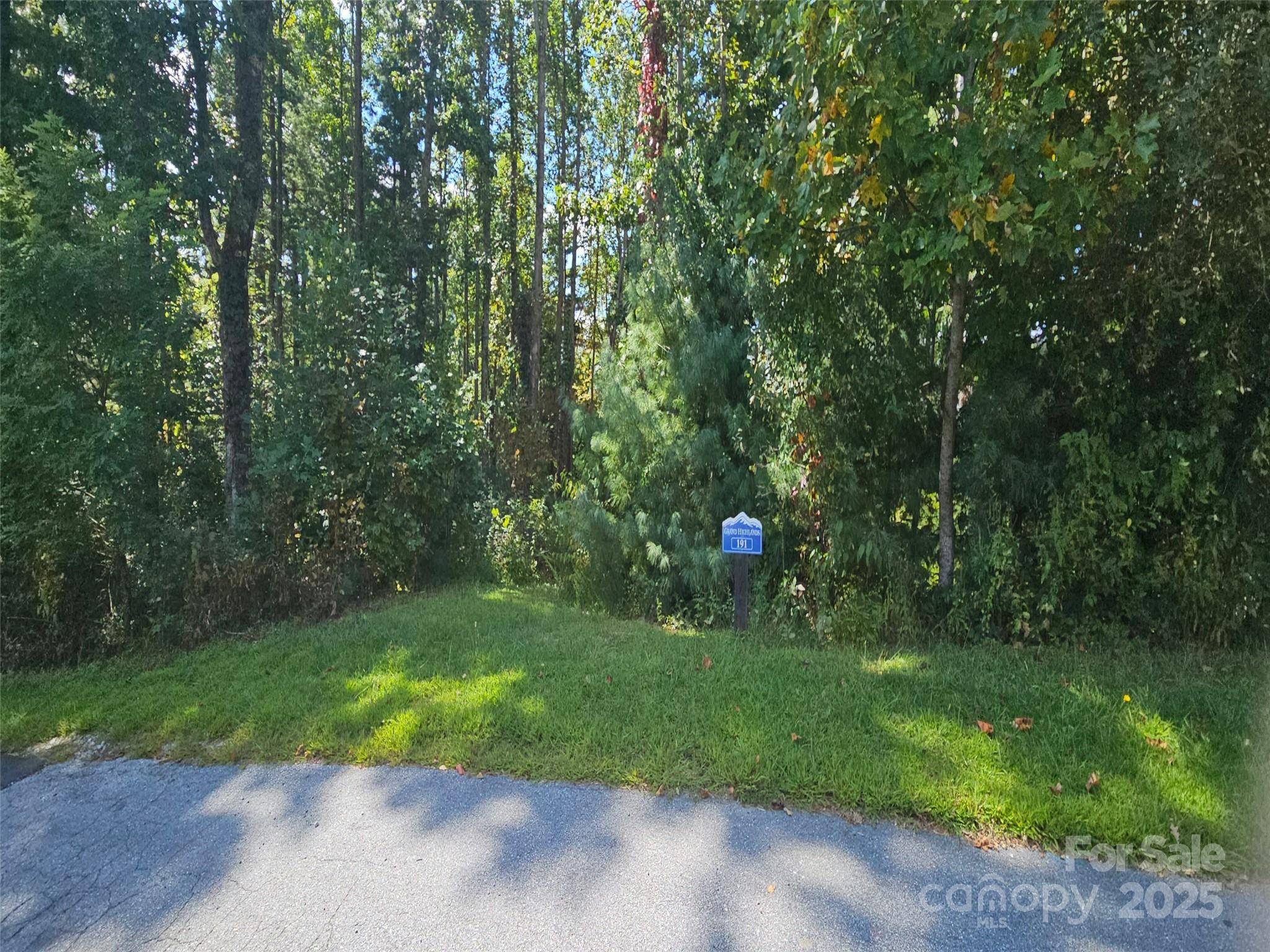 00 Bearwallow Mountain DR #191, Hendersonville, NC 28792