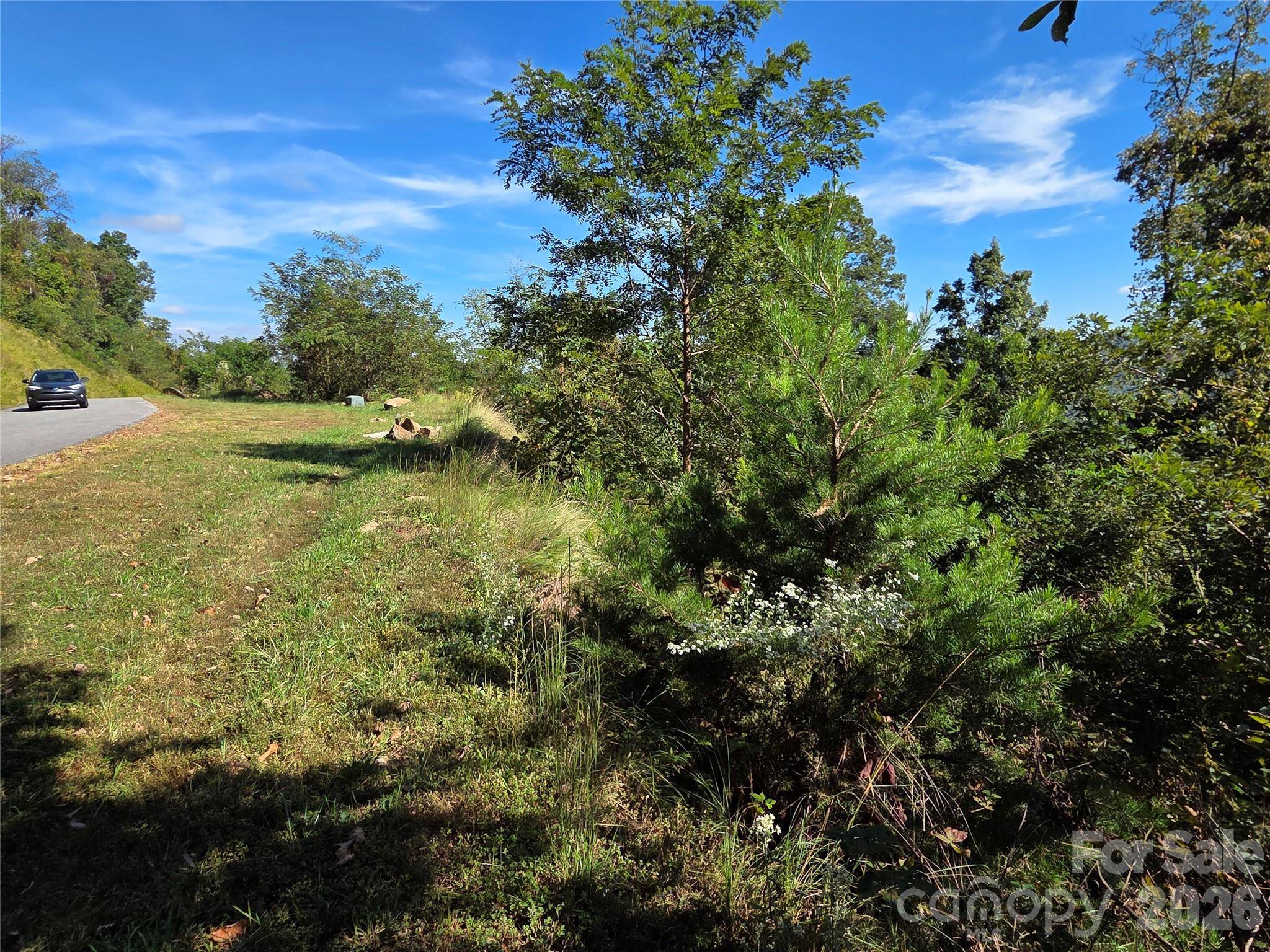 1505 Summit View DR #20, Canton, NC 28716