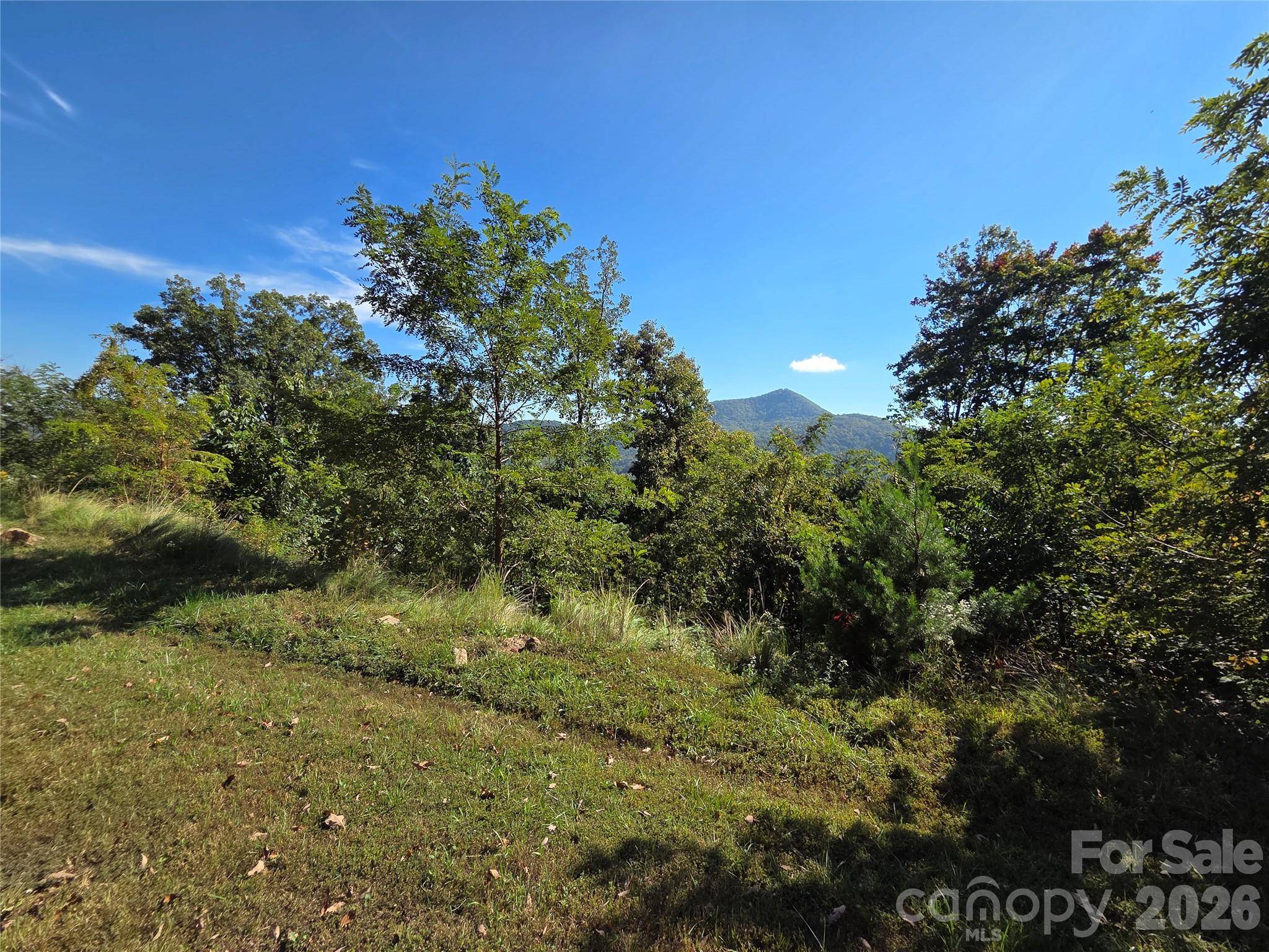 1505 Summit View DR #20, Canton, NC 28716