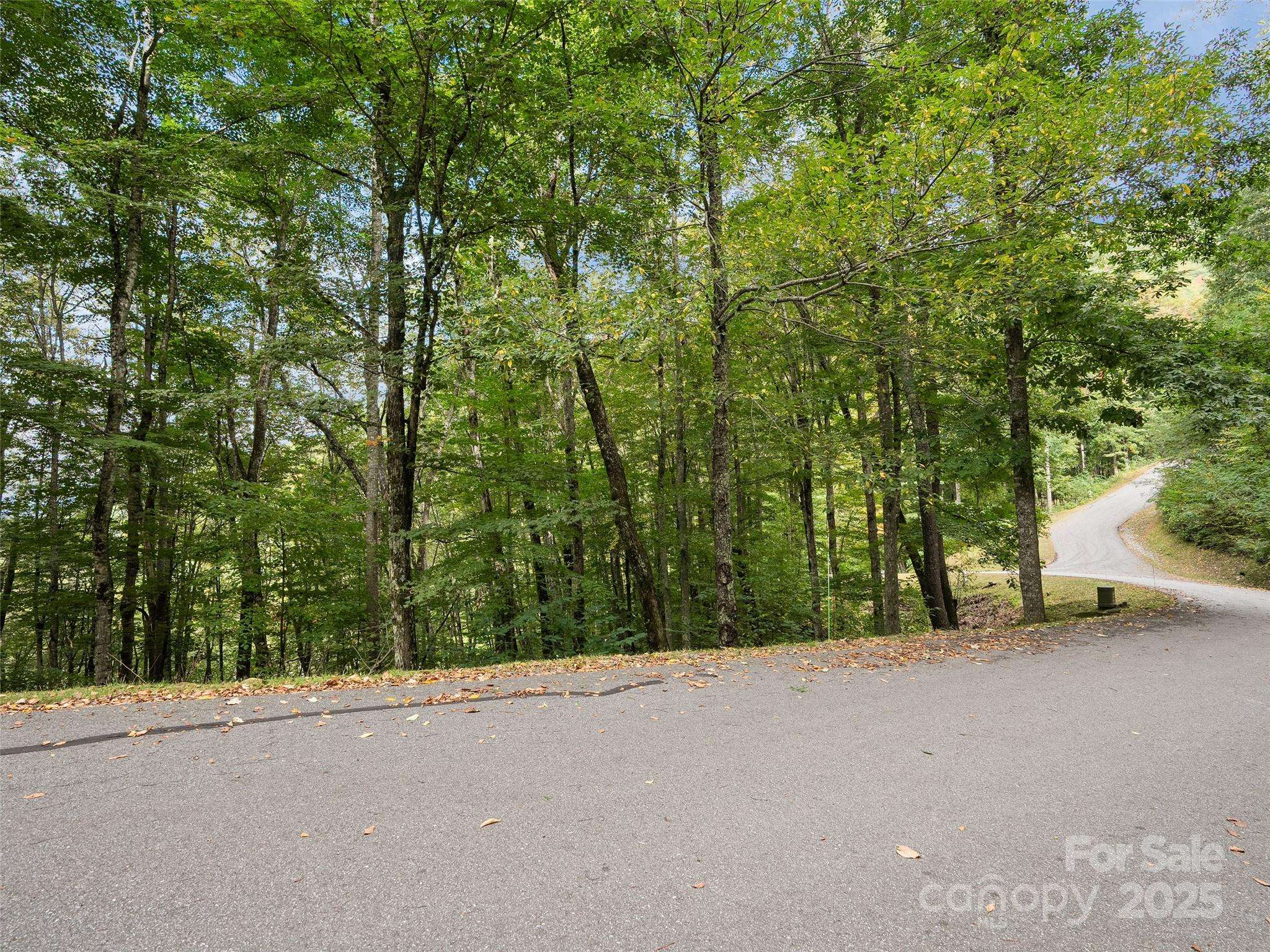 0 Macallan DR #16, Waynesville, NC 28786