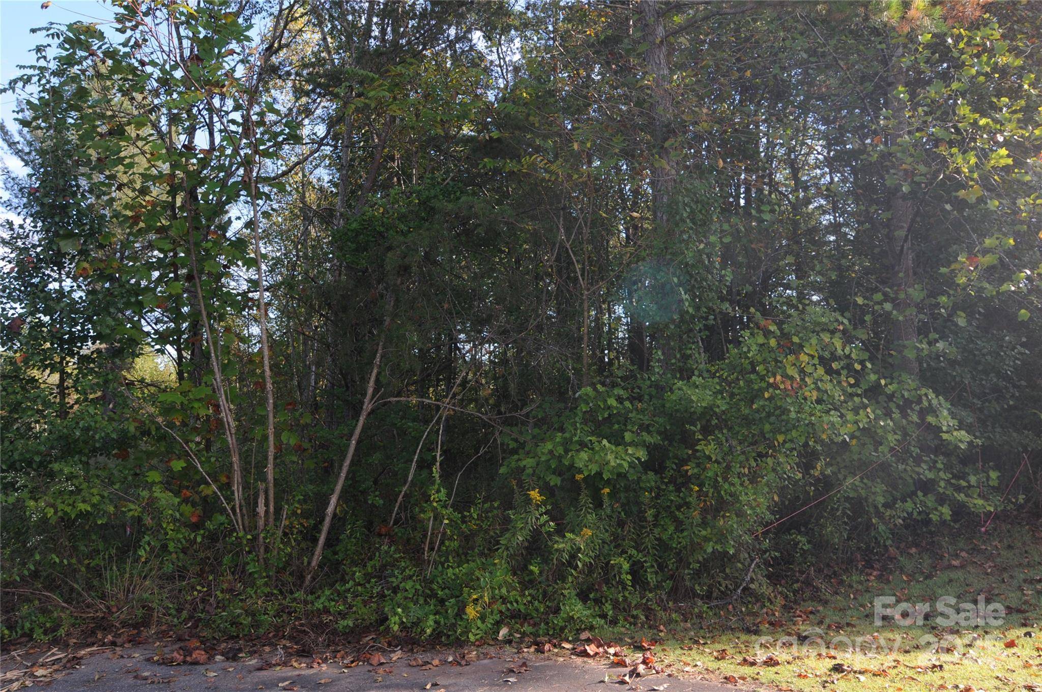 2320 DOBBINS CT, Vale, NC 28168