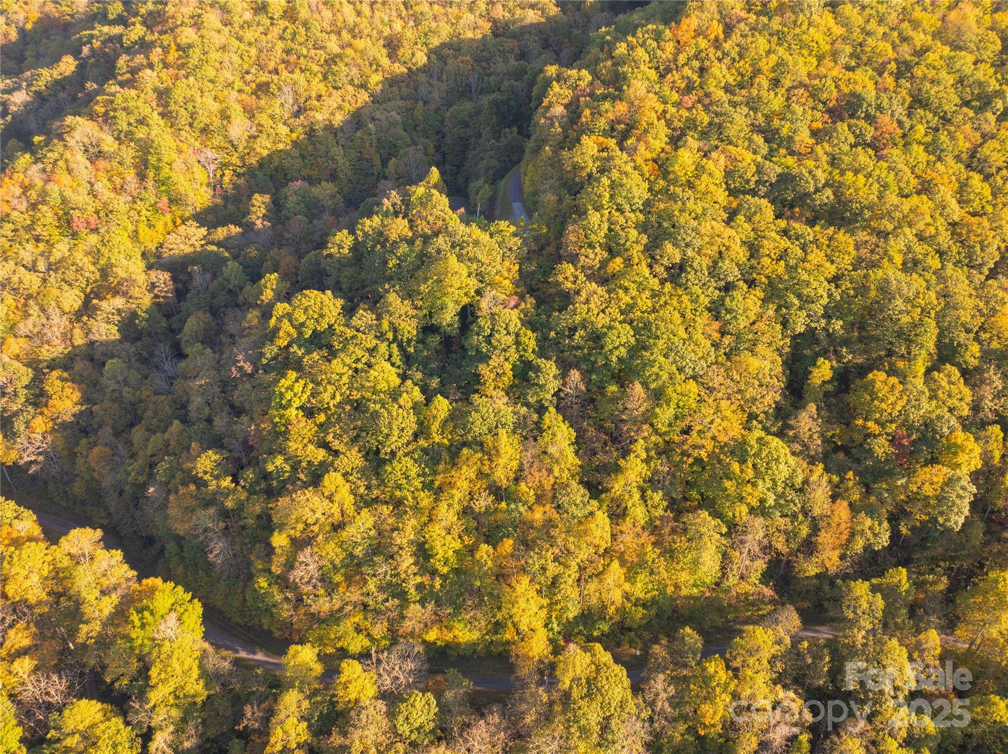 Lot 39 Brush Creek Mountain RD #39, Bryson City, NC 28713