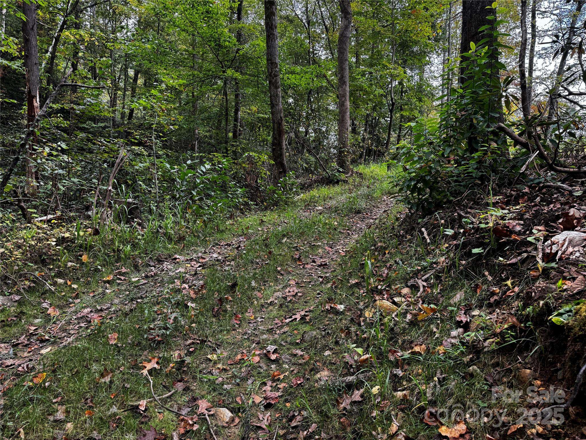 0 Mt Hebron RD, Old Fort, NC 28711