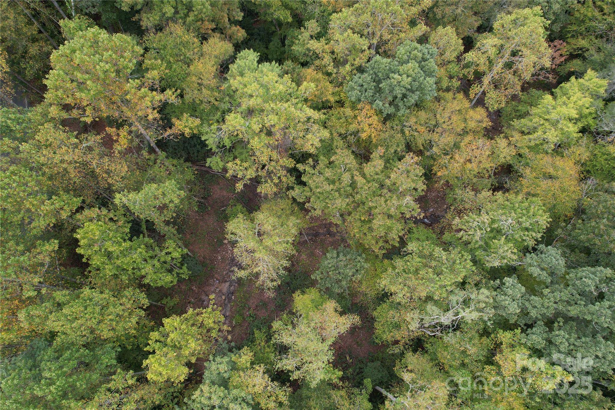 0 Mt Hebron RD, Old Fort, NC 28711