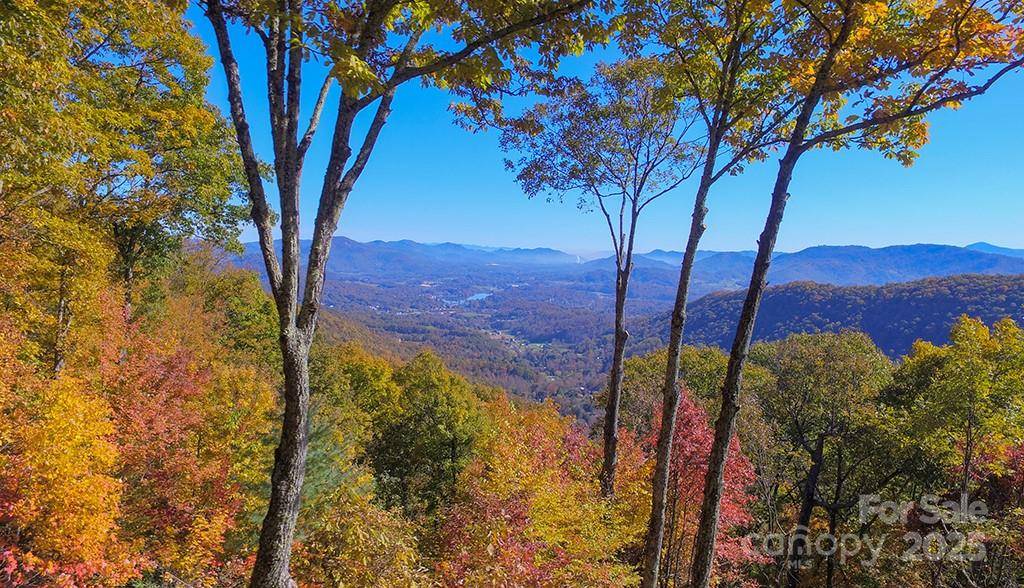 382 Walela TRL, Maggie Valley, NC 28751