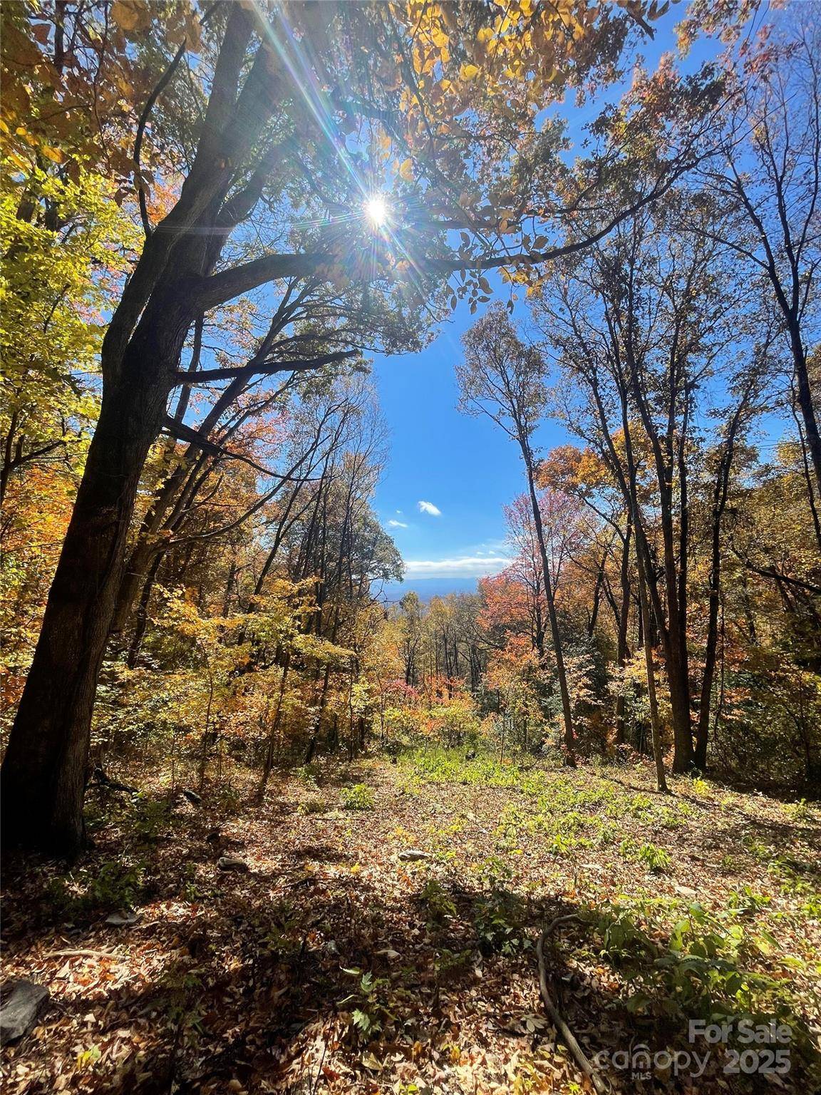 00000 New Sprout LN #1, Hendersonville, NC 28792