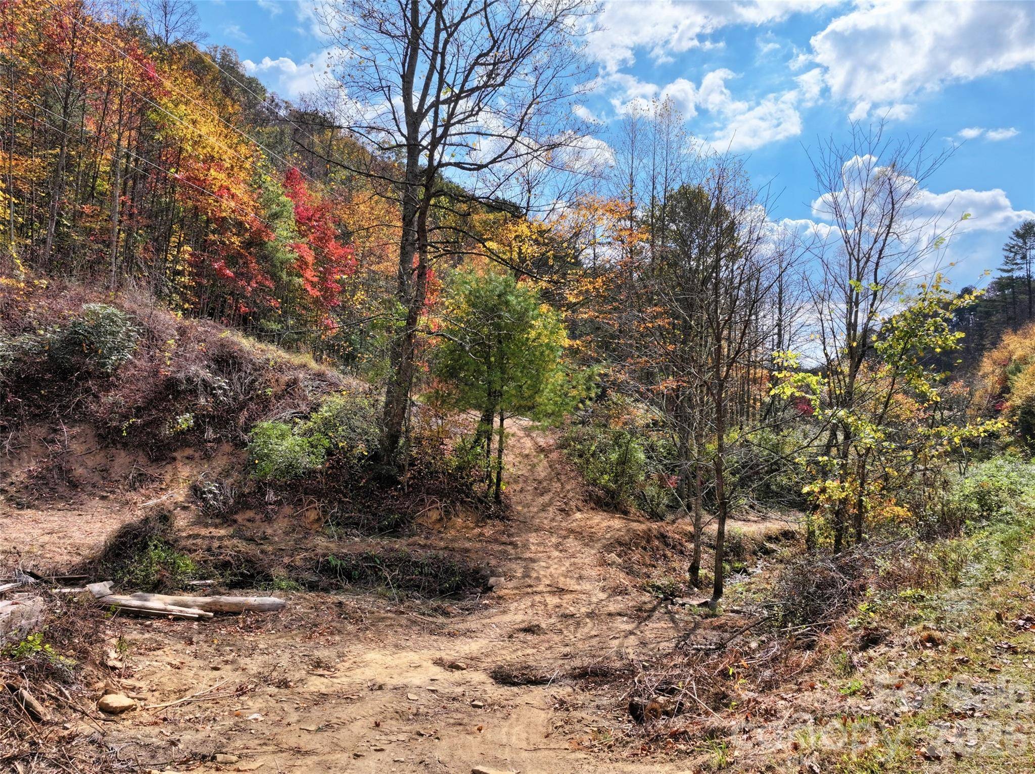 366 Renfro RD, Green Mountain, NC 28740
