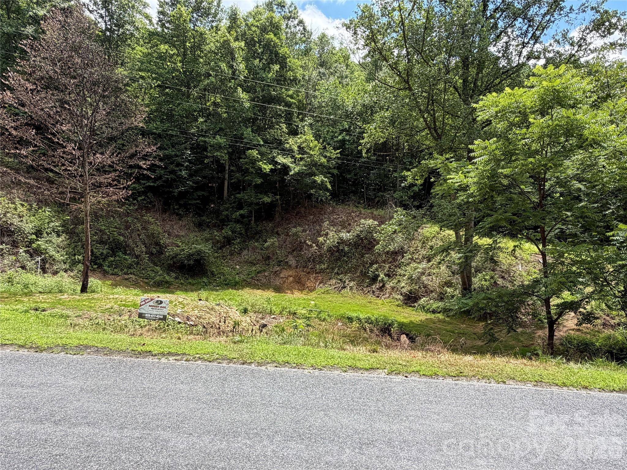 366 Renfro RD, Green Mountain, NC 28740