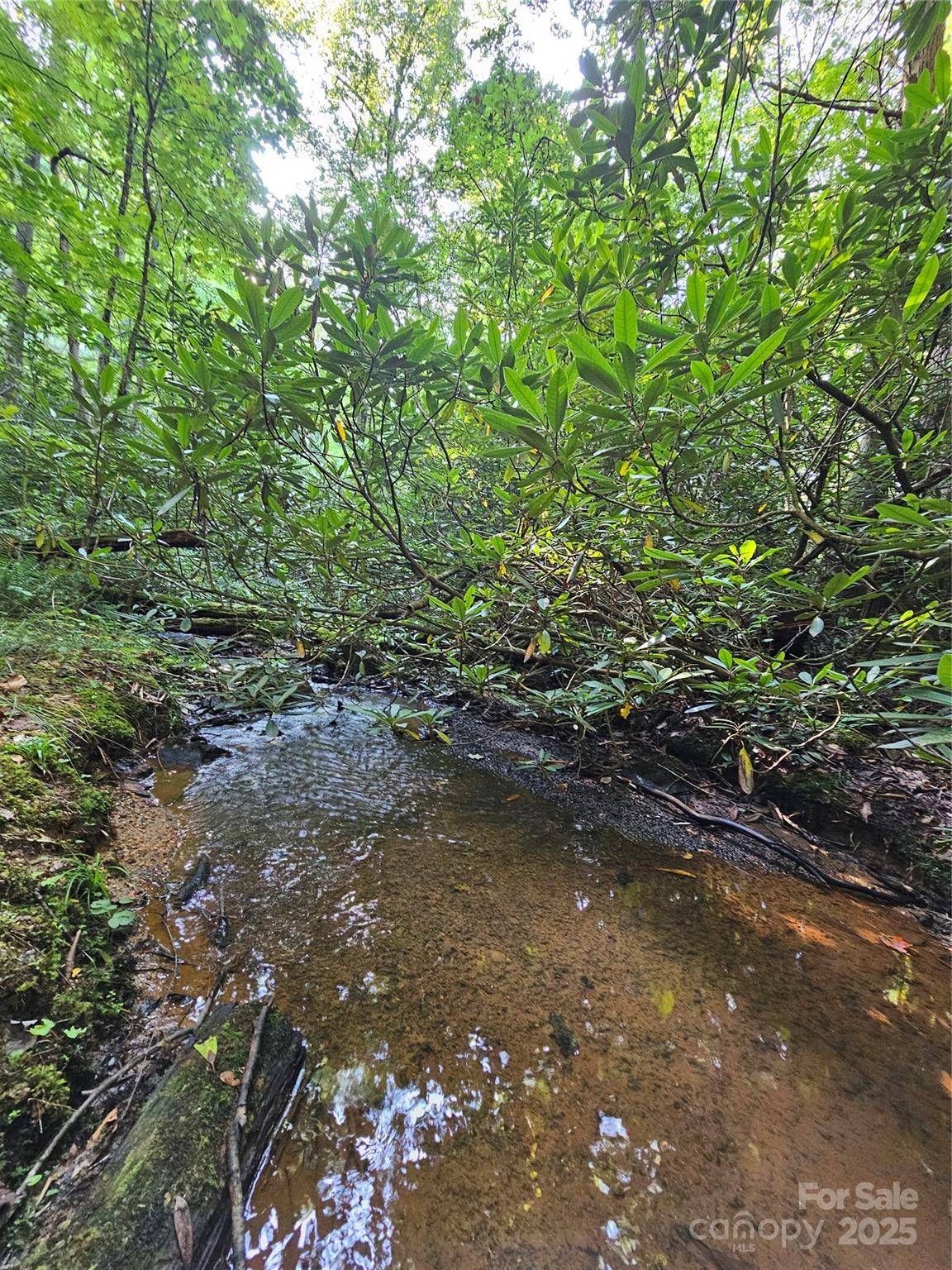 0000 Happy Acres RD, Brevard, NC 28712