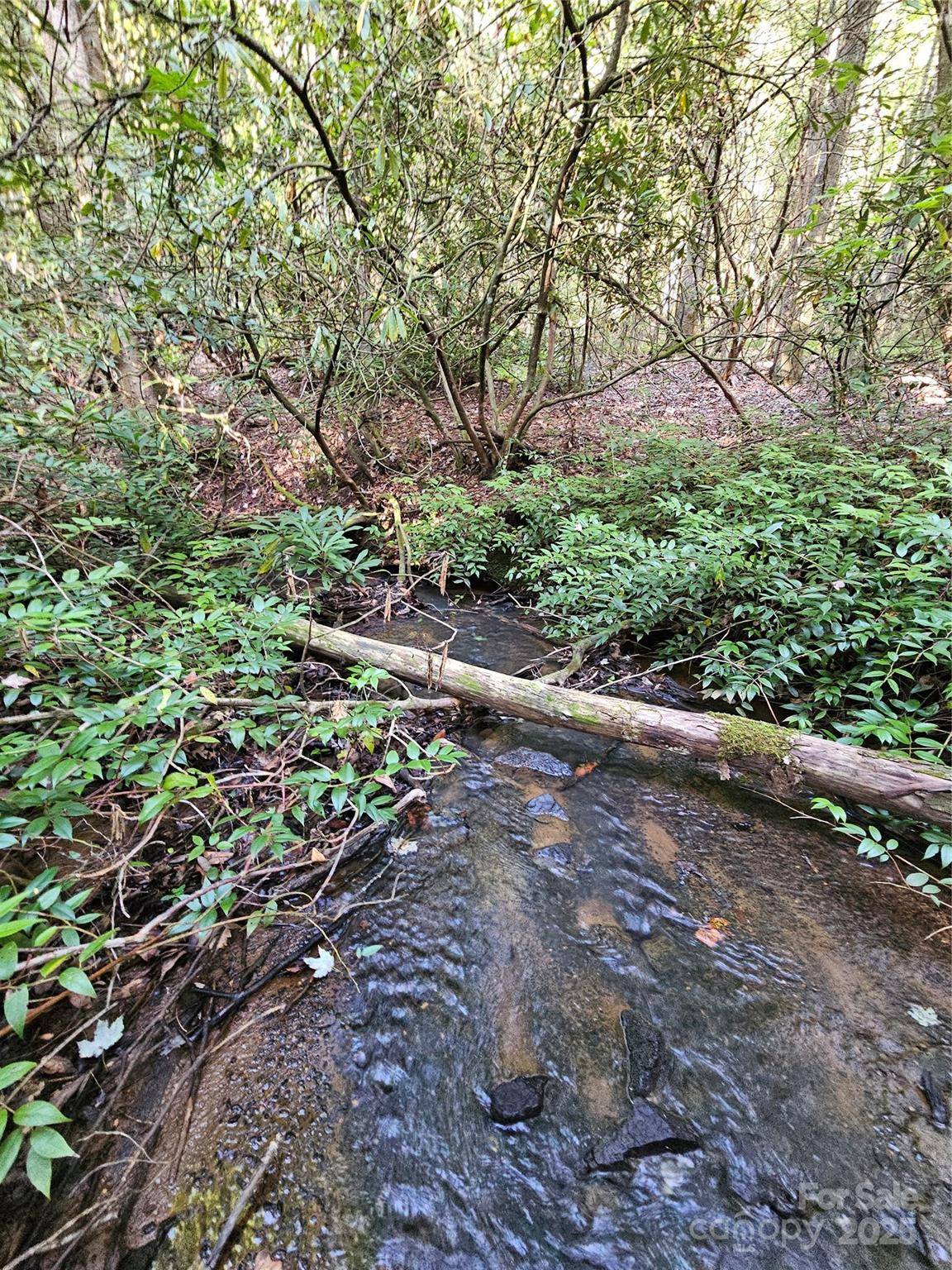 0000 Happy Acres RD, Brevard, NC 28712