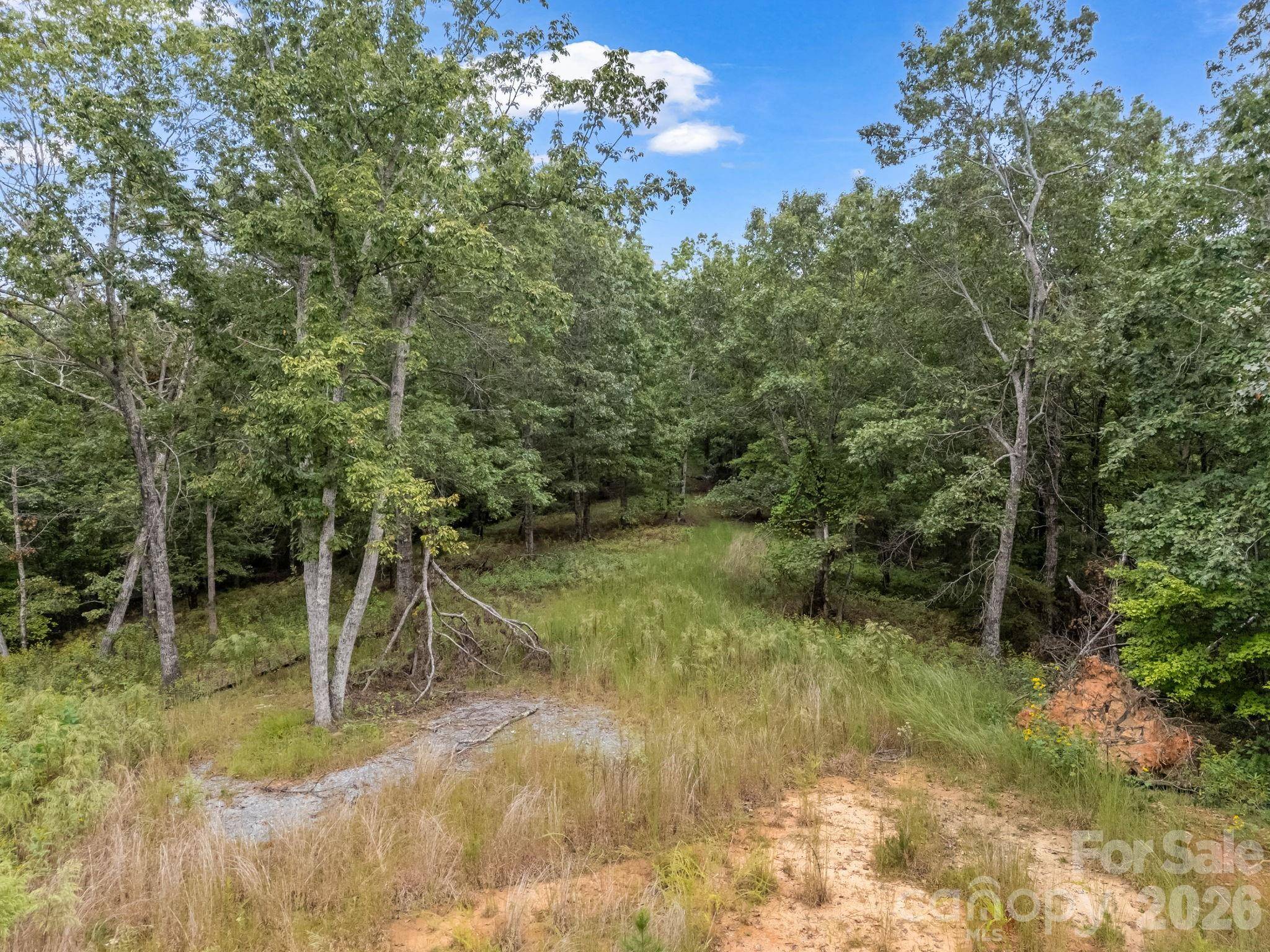 TBD N Highland Farms RD #6, Mill Spring, NC 28756