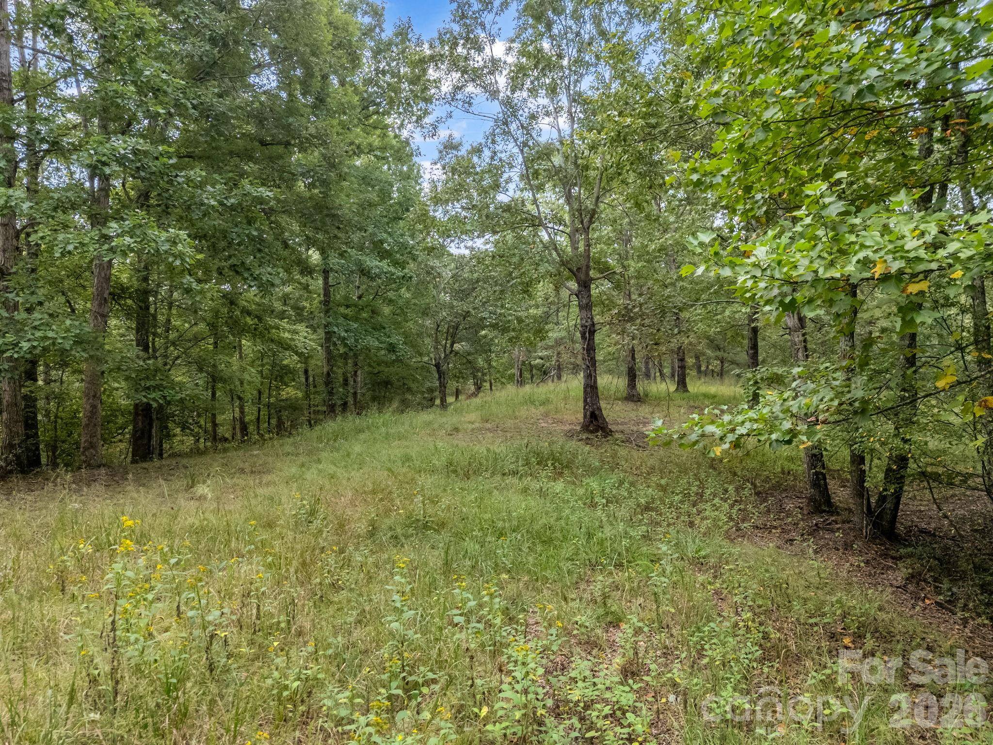 TBD N Highland Farms RD #6, Mill Spring, NC 28756
