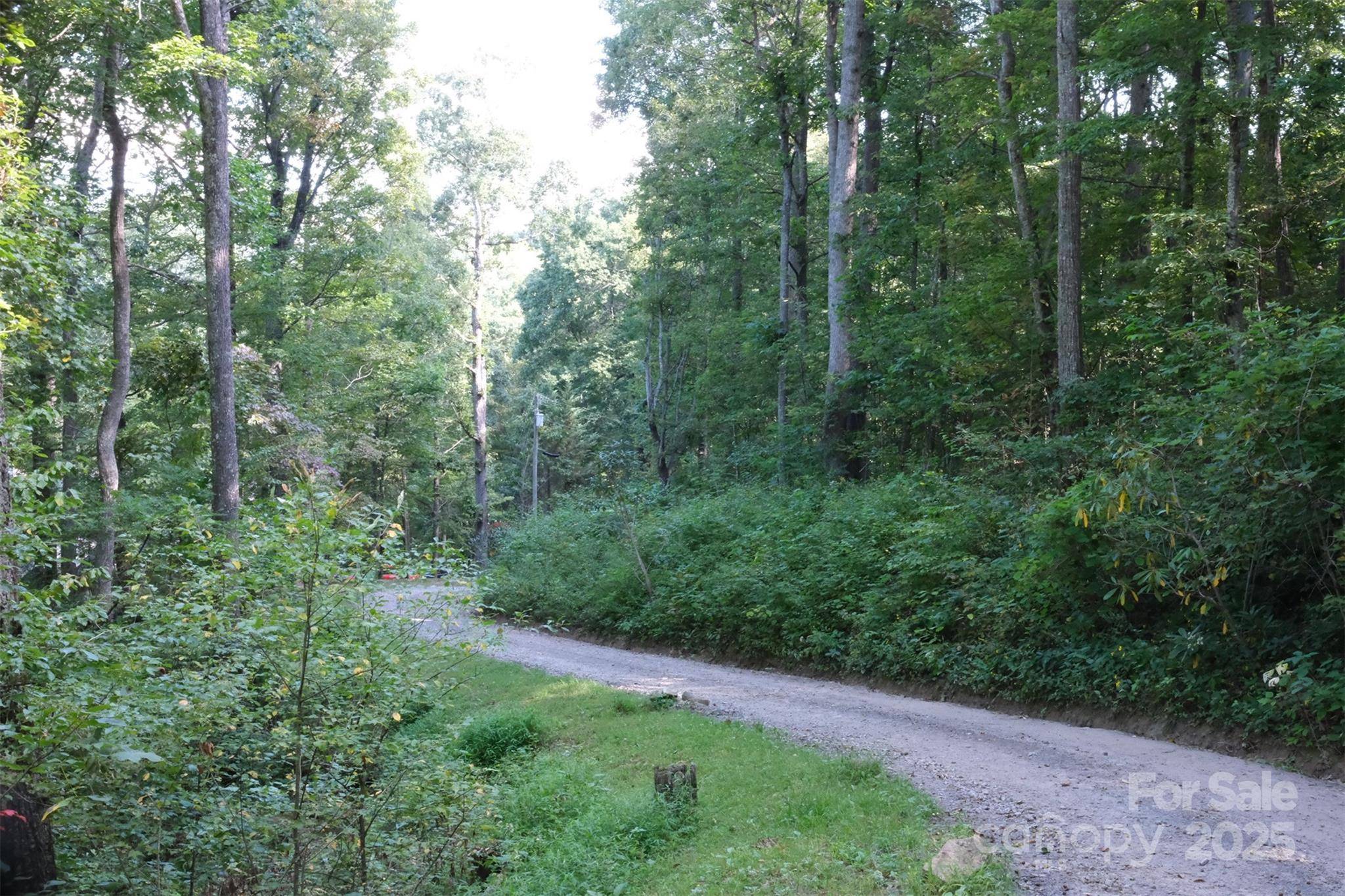 Lot: 12 CAPERTON POINT RD #12, Swannanoa, NC 28778
