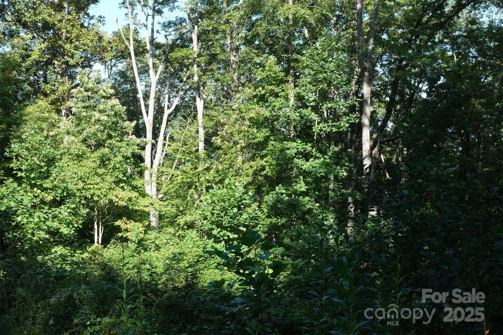 Lot: 12 CAPERTON POINT RD #12, Swannanoa, NC 28778