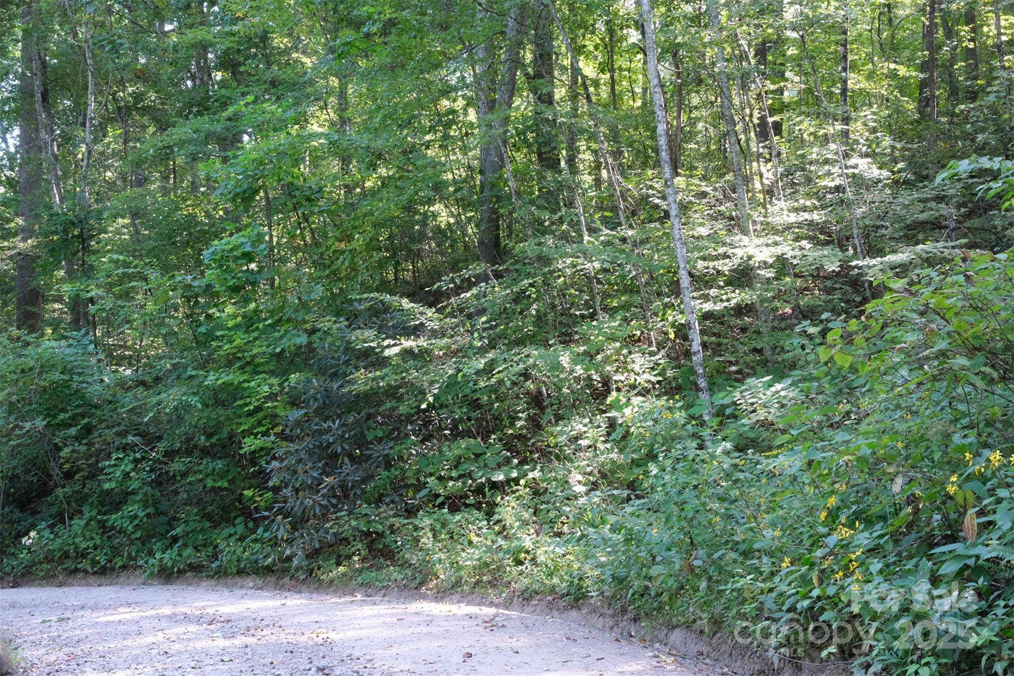 Lot: 12 CAPERTON POINT RD #12, Swannanoa, NC 28778