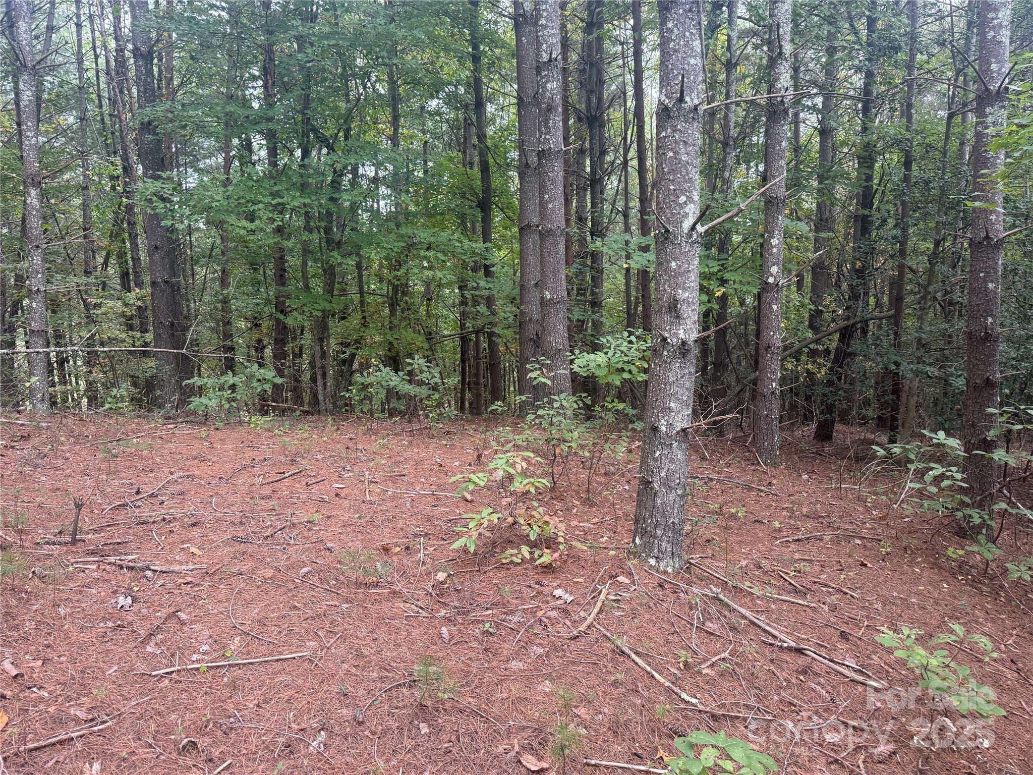 9587 Shortoff View TER #57, Nebo, NC 28761